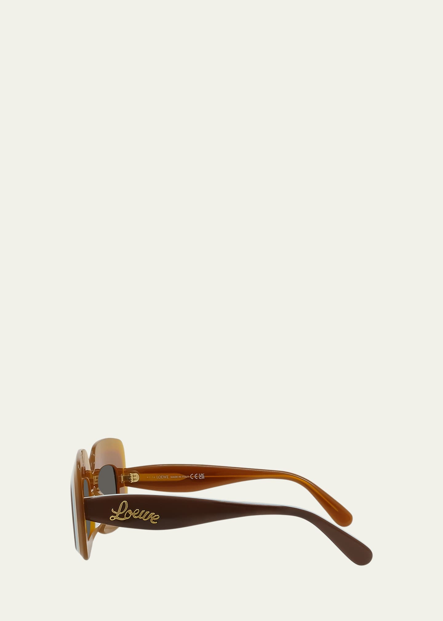 Loewe Multicolor Curved Logo Acetate Rectangle Sunglasses