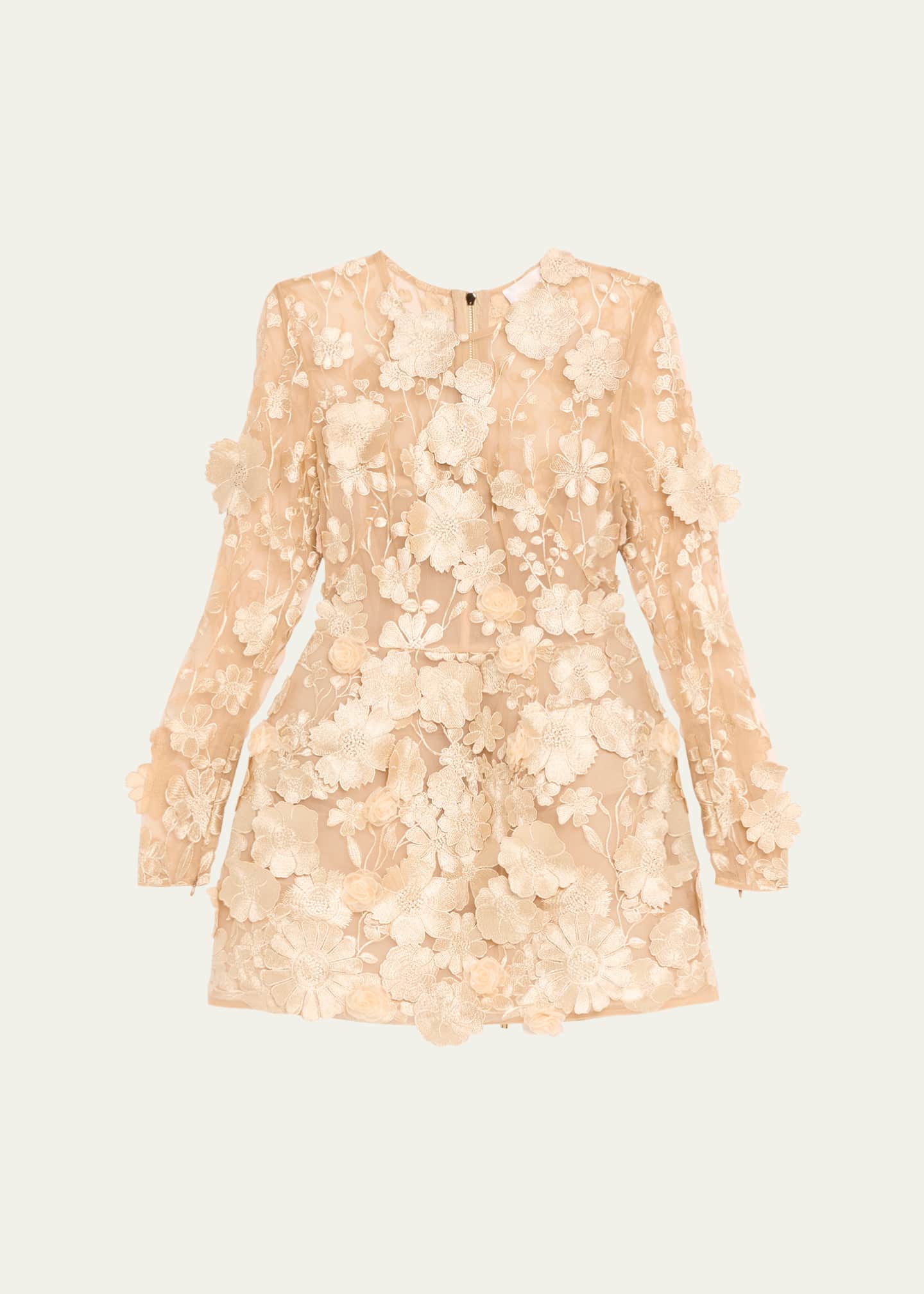 Bronx and Banco Bouquet Maraya Embroidered Illusion Mini Dress Image 1 of 5