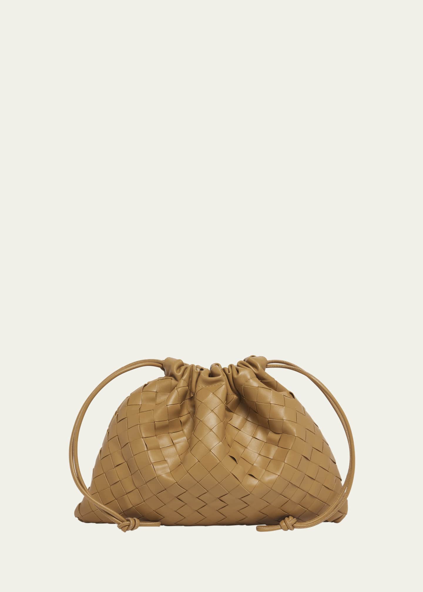 Bottega Veneta Medium Leather Pouch Bag Image 1 of 5