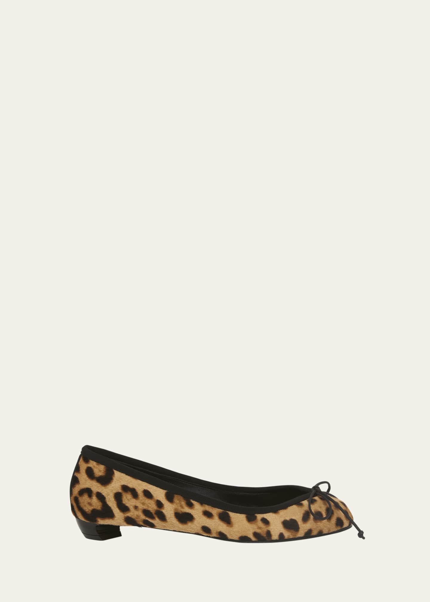 McQueen Leopard Bow Ballerina Flats Image 1 of 5