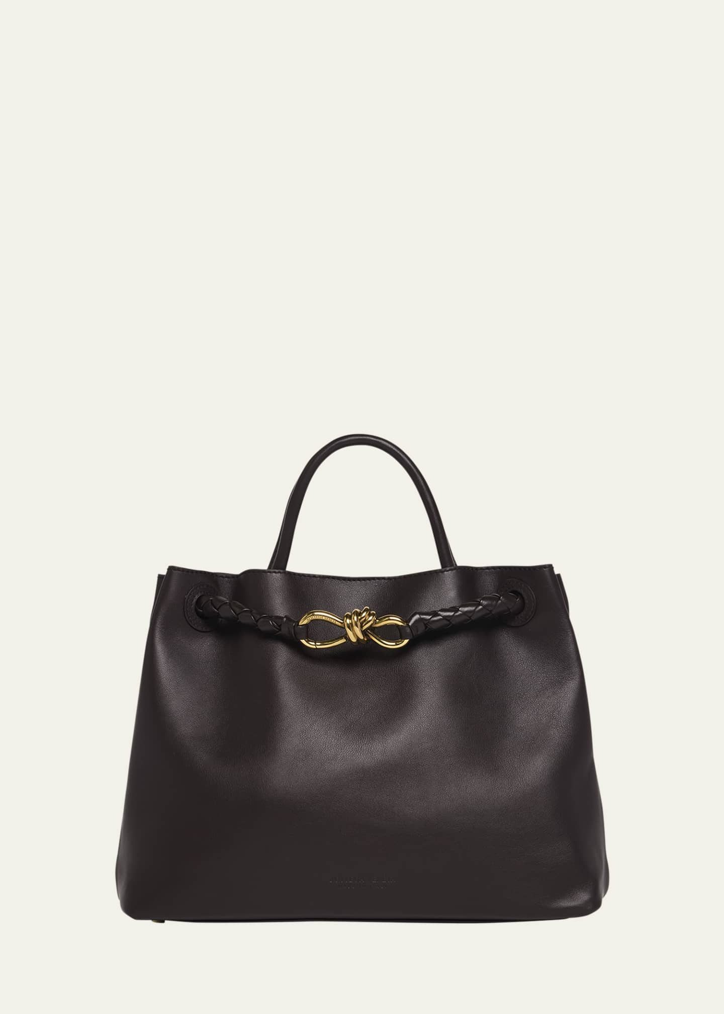 Bottega Veneta Andiamo Medium Leather Tote Bag Image 1 of 6