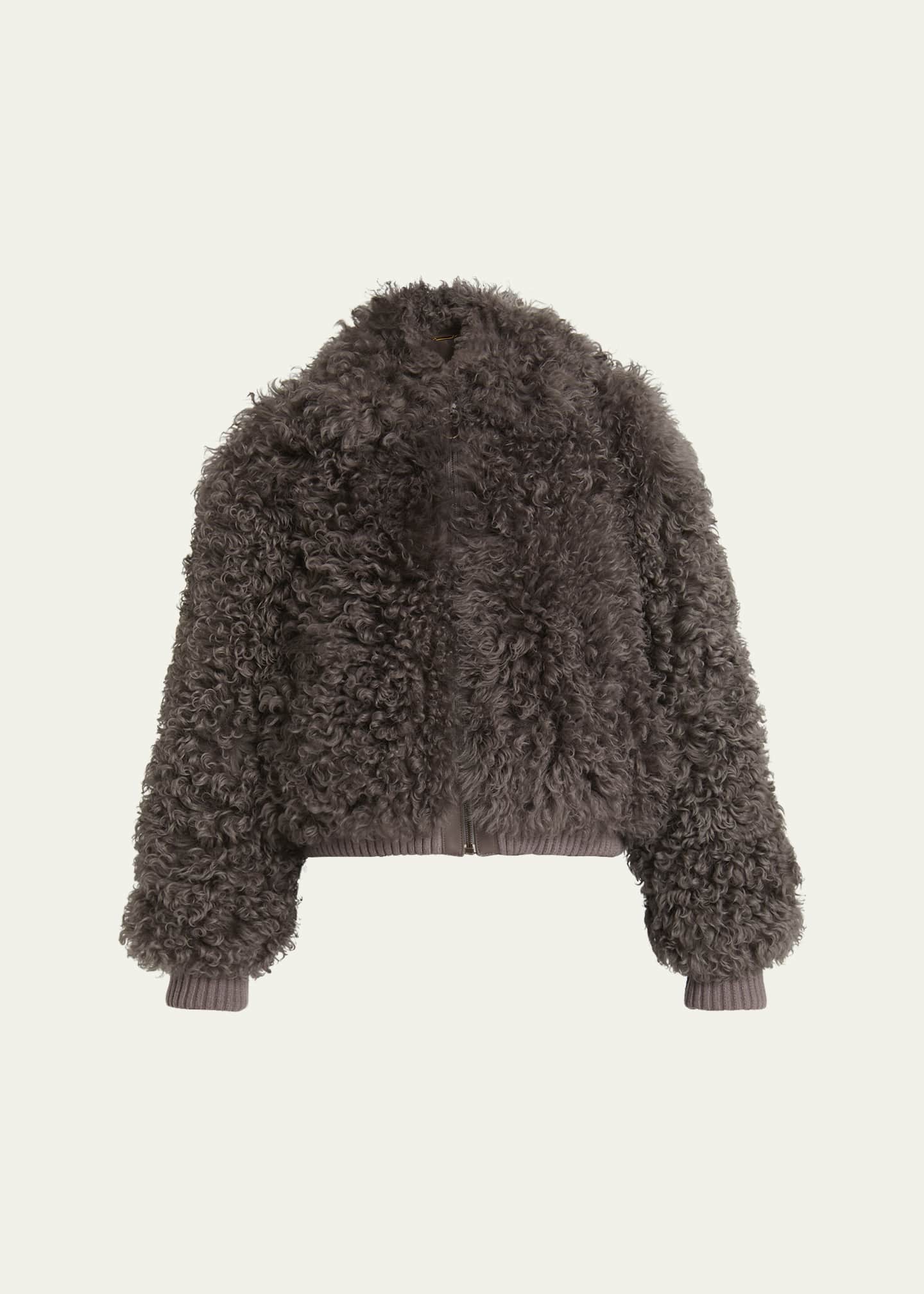 Chloe Curly Shearling Jacket Image 1 of 5