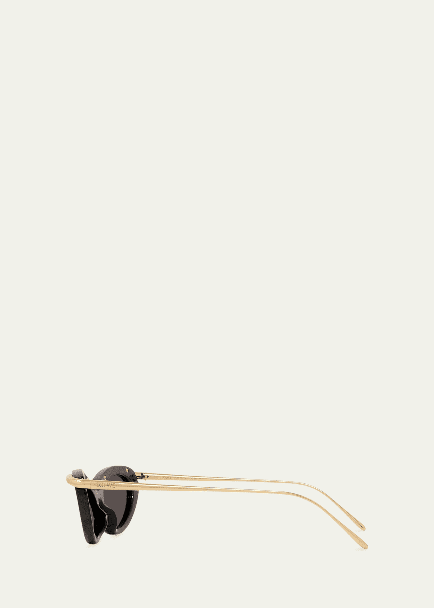 Loewe Signature Acetate & Metal Cat-Eye Sunglasses Image 3 of 3