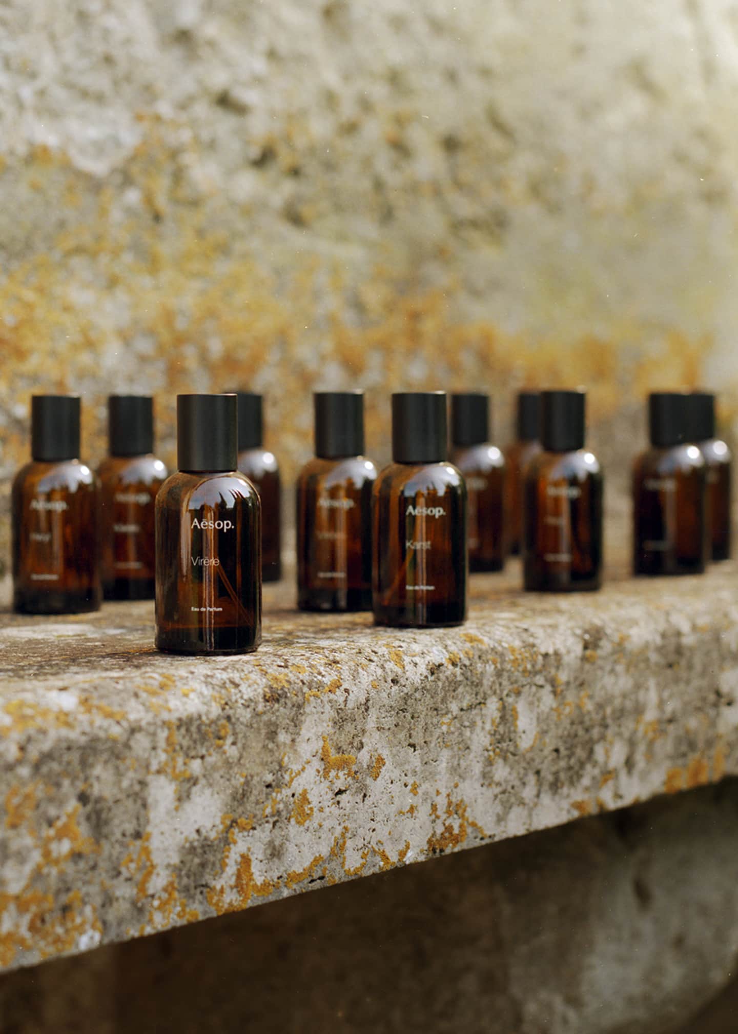 Aesop Virere Eau de Parfum, 50 mL Image 5 of 7
