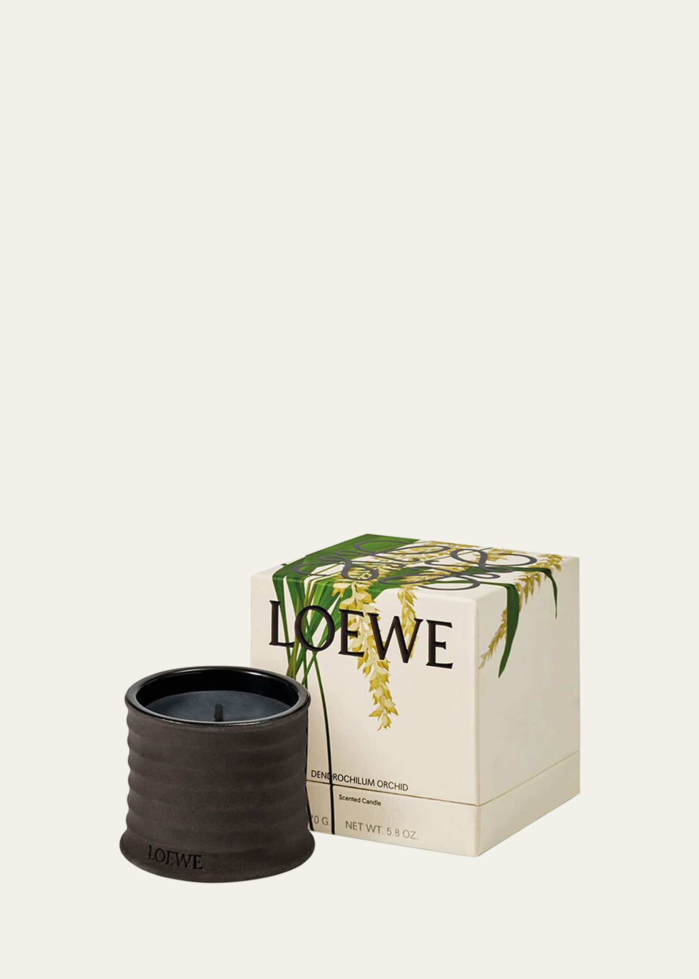 Loewe Dendrochilum Magnum Orchid Scented Candle, 5.8 oz. Image 2 of 2