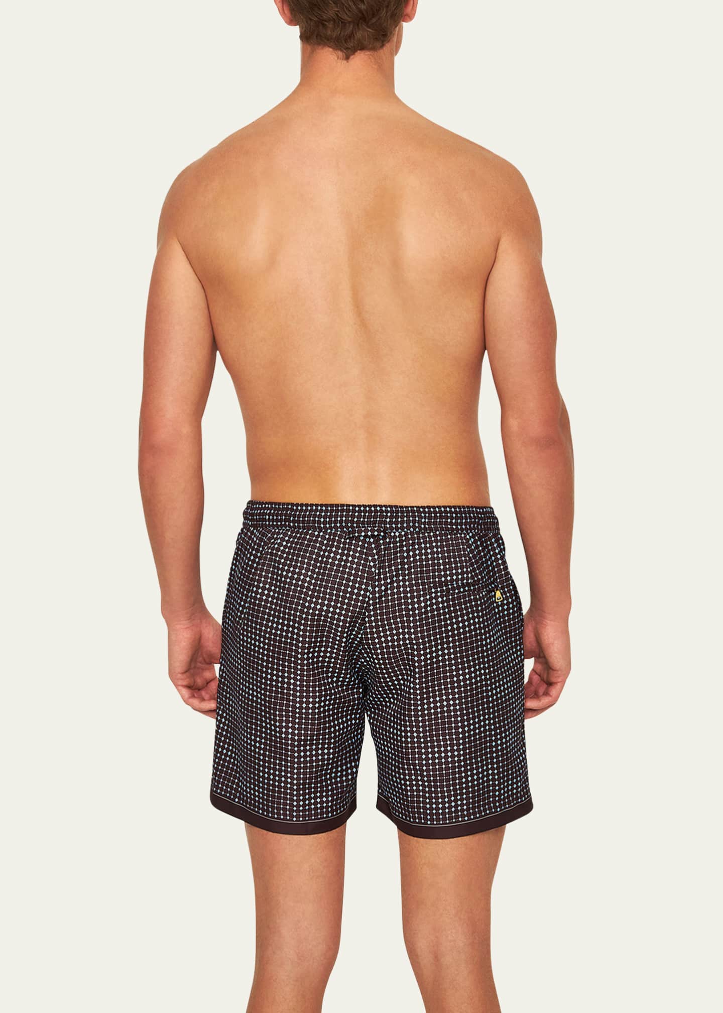 Orlebar Brown Men's Bulldog Tiescape Drawstring Swim Shorts Image 3 of 3