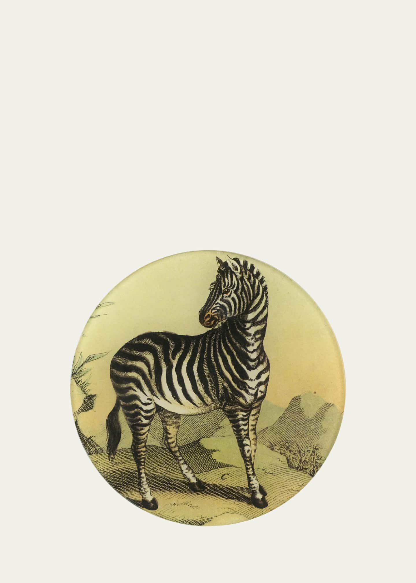 John Derian Zebra 118 Decorative Plate - Bergdorf Goodman