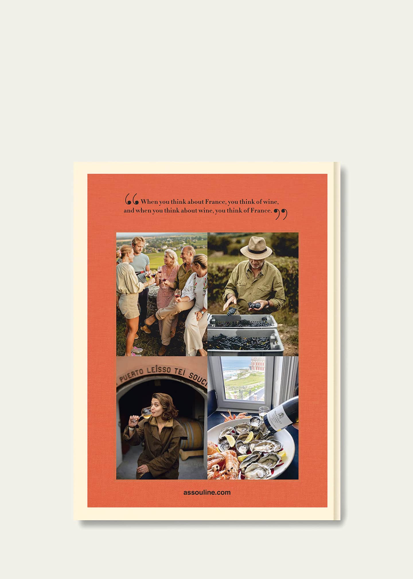 Assouline "Wine & Travel France" Book by Enrico Bernardo - Bergdorf Goodman