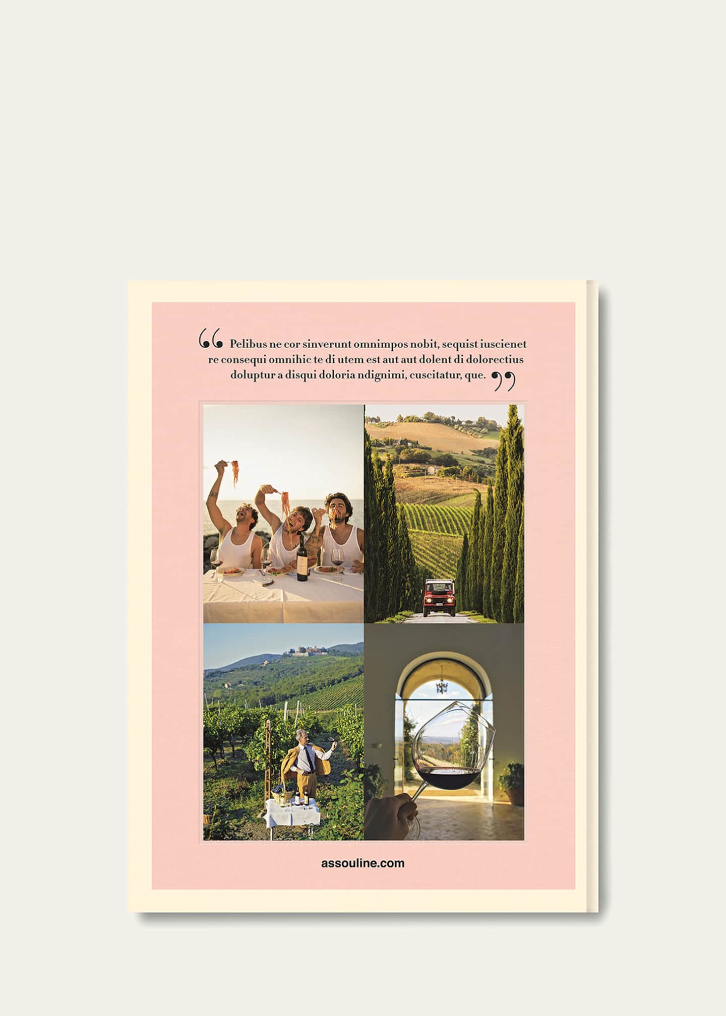 Assouline "Wine & Travel Italy" Book by Enrico Bernardo Image 5 of 5