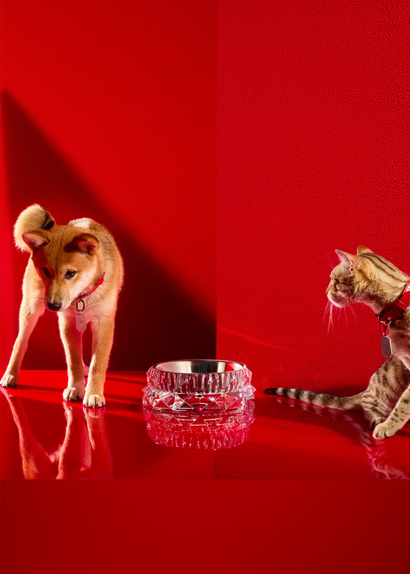 Baccarat Louxor Crystal Pet Bowl, Large - Bergdorf Goodman
