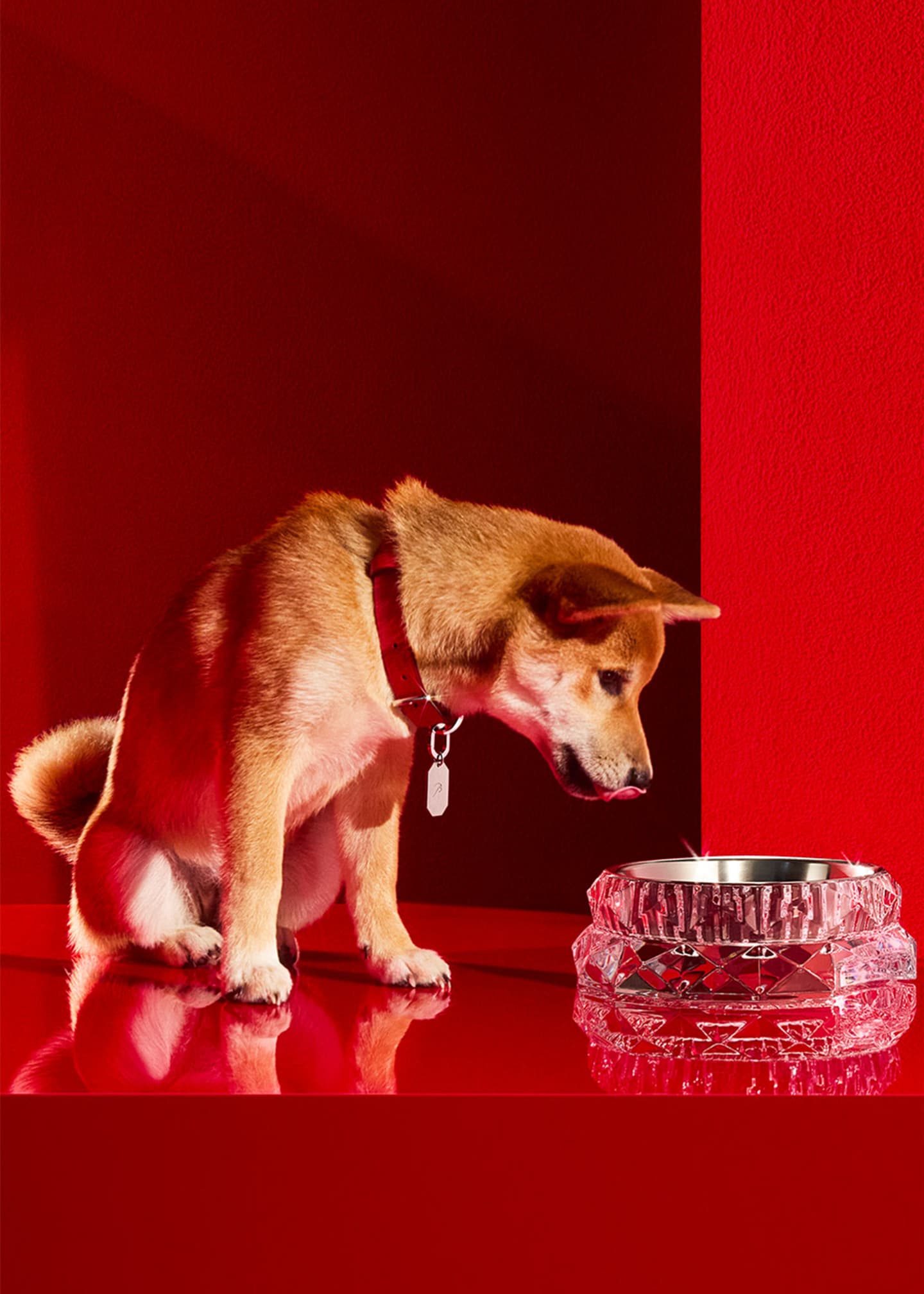 Baccarat Louxor Crystal Pet Bowl, Large - Bergdorf Goodman