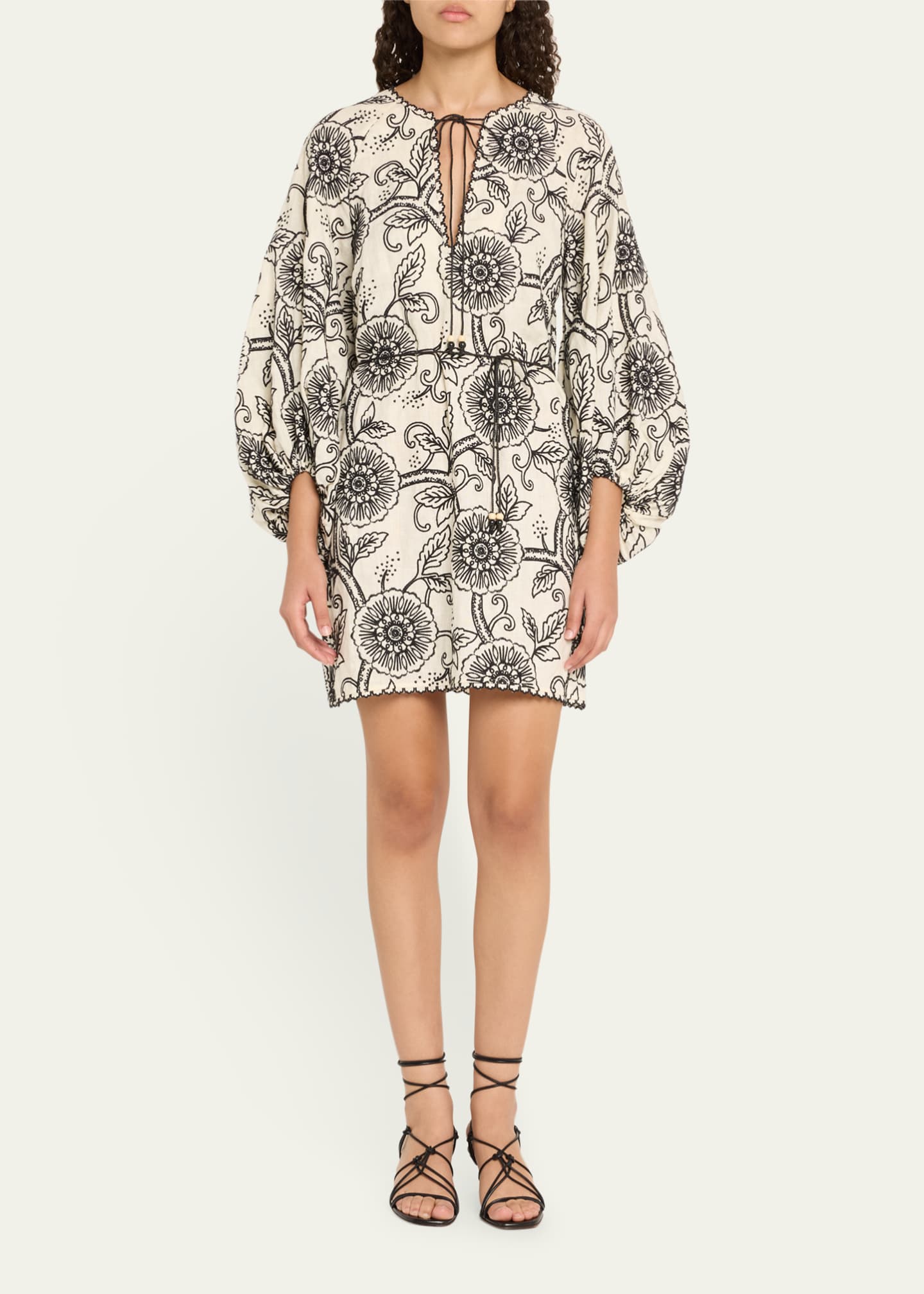 Zimmermann Tallow Embroidered Mini Dress Image 2 of 5