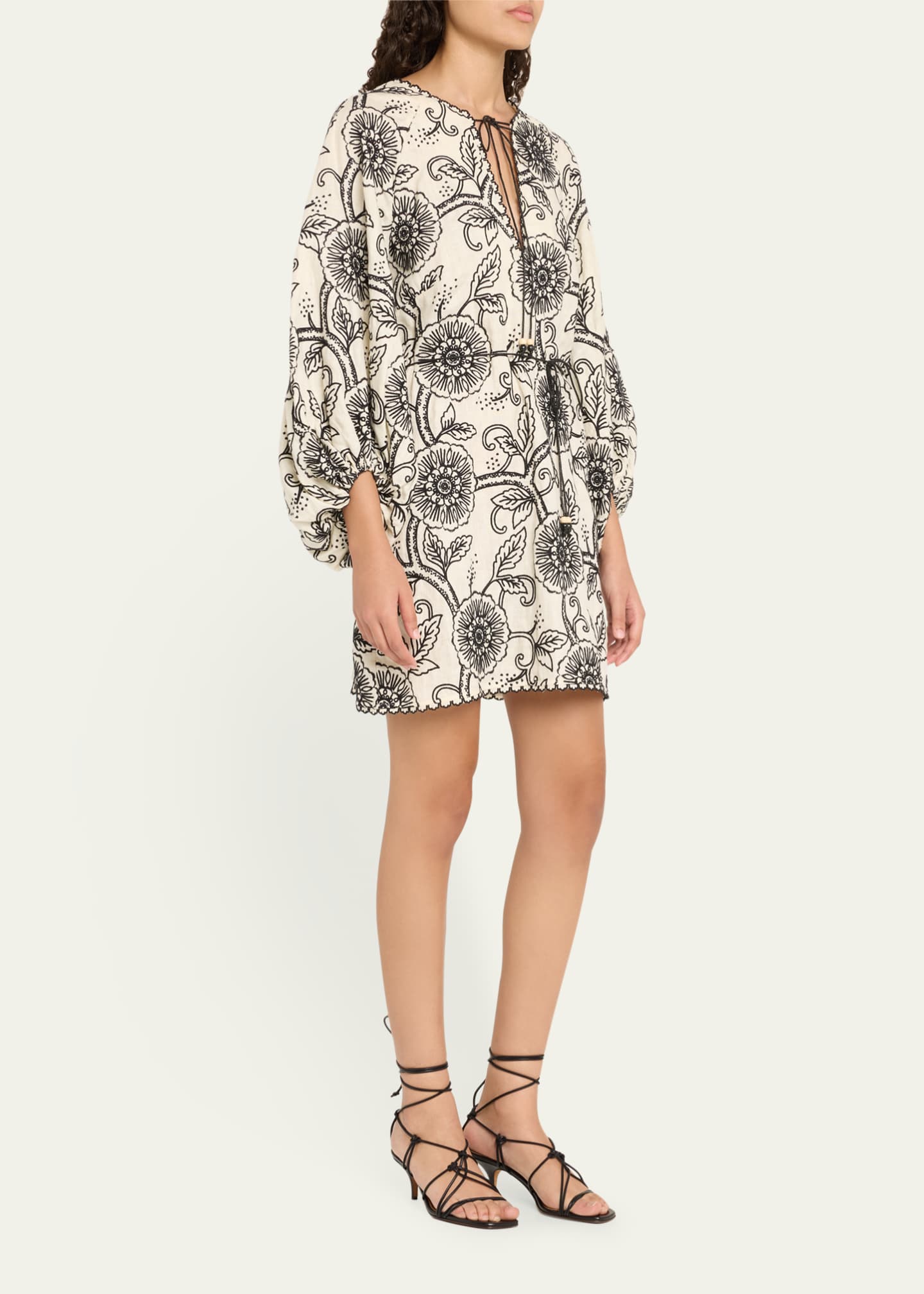 Zimmermann Tallow Embroidered Mini Dress Image 4 of 5