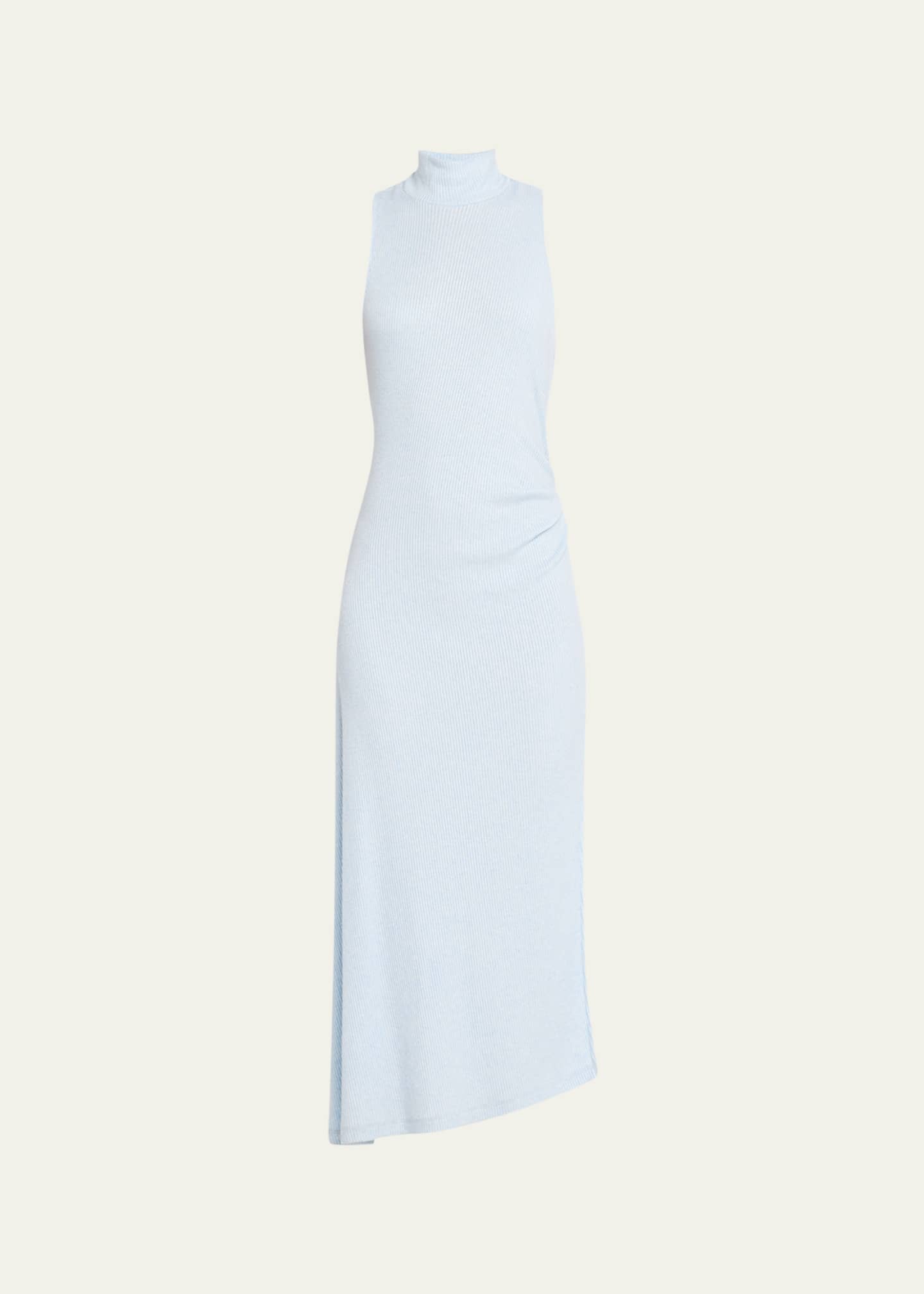 Ximena Turtleneck Midi Dress