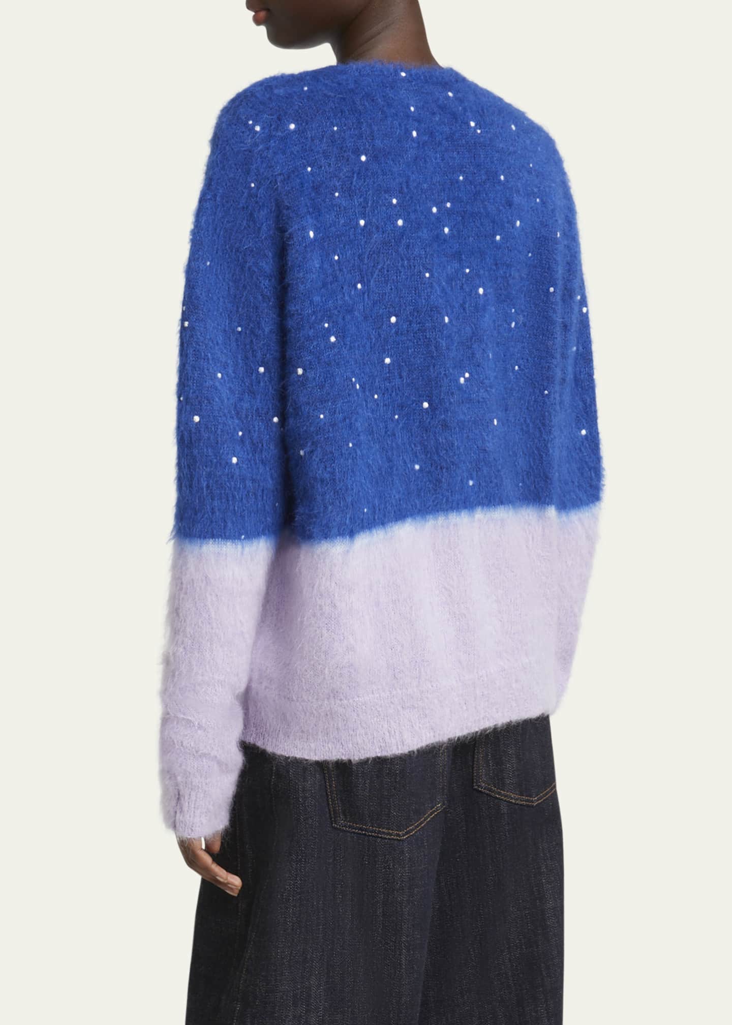 Loewe Bi-Color Crystal Fuzzy Sweater Image 3 of 5