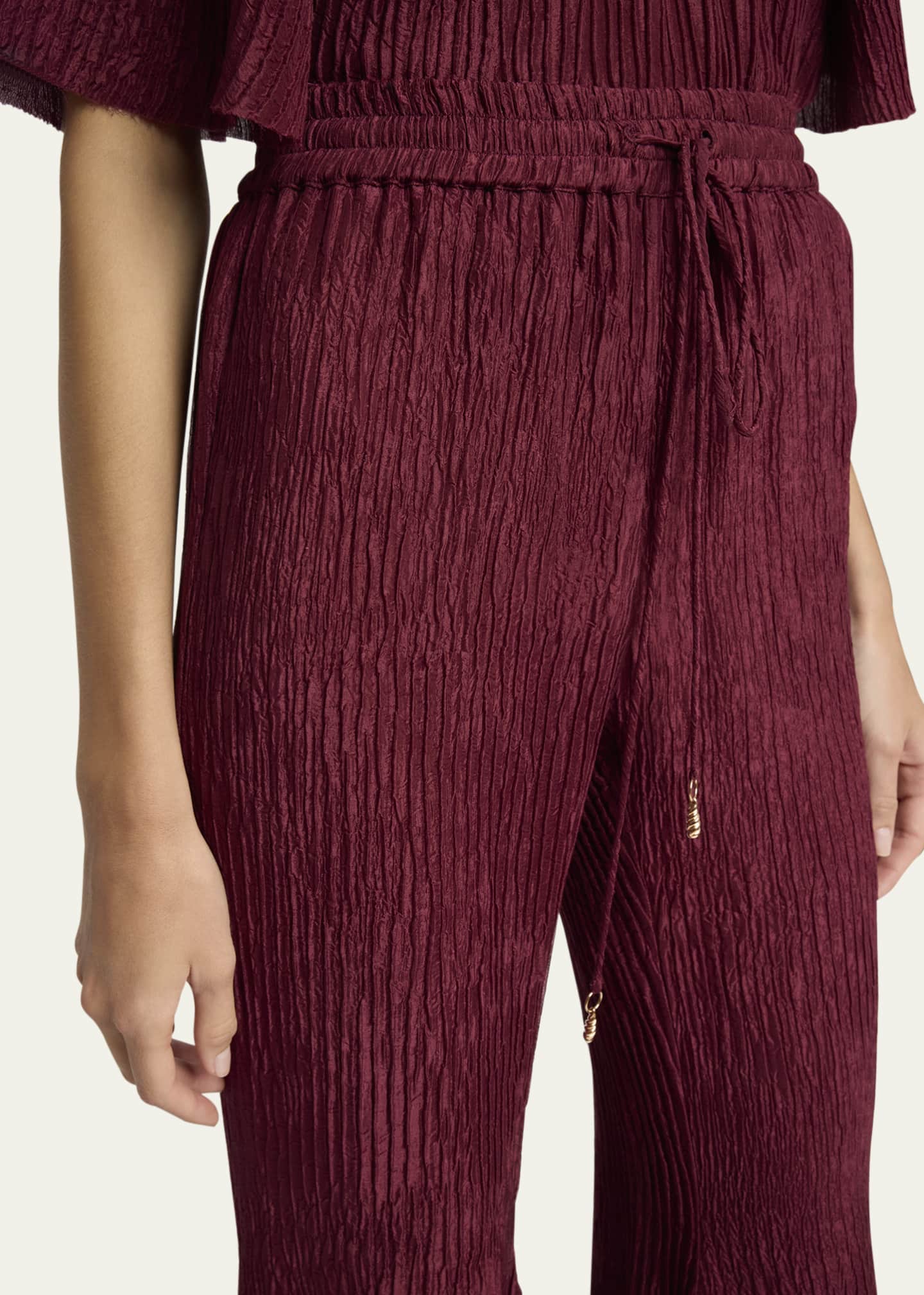 Gabriela Hearst Claude Crinkle Drawstring Flared Pants Image 5 of 5