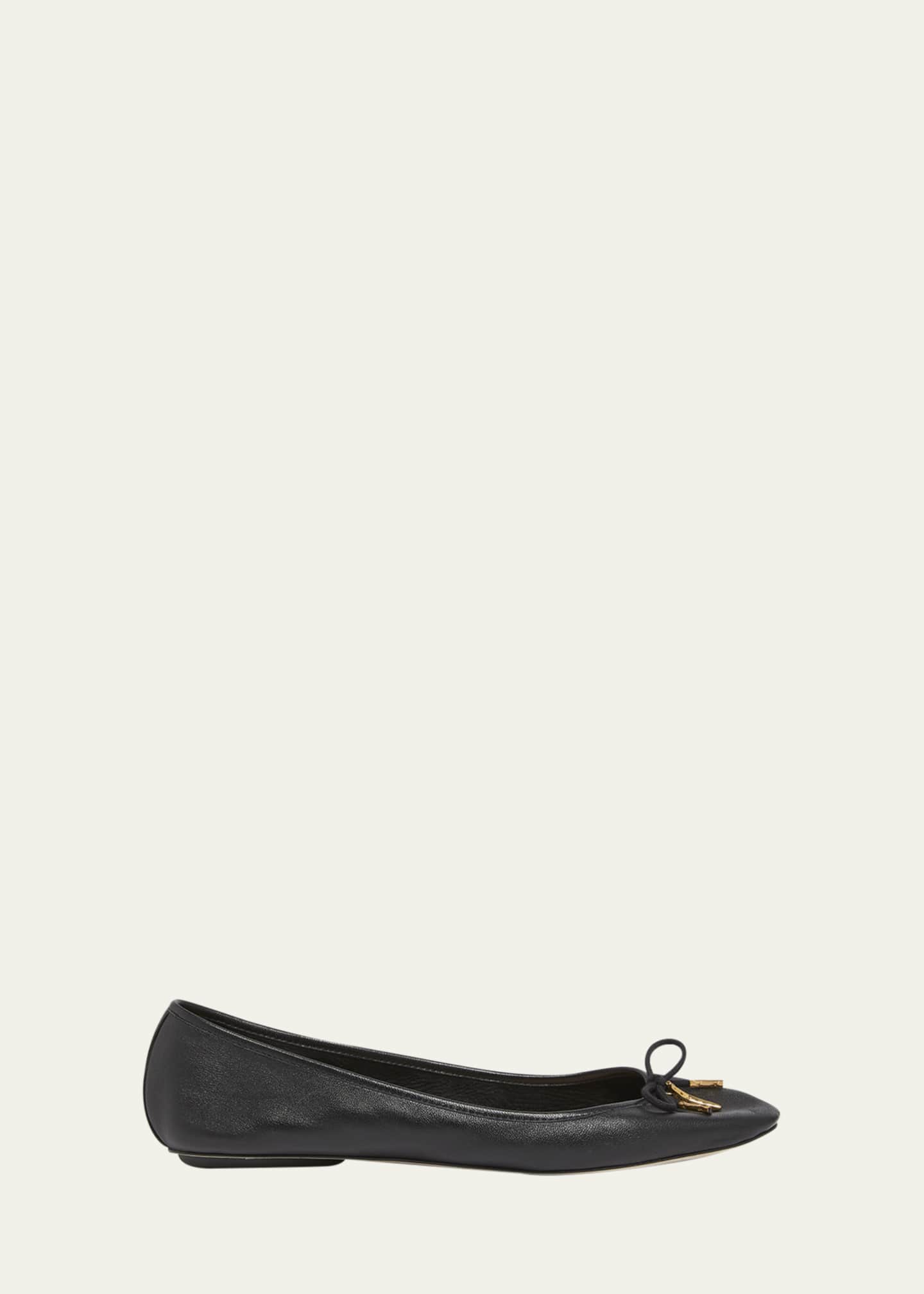 Chloe Iris Leather Ballerina Flats Image 1 of 5