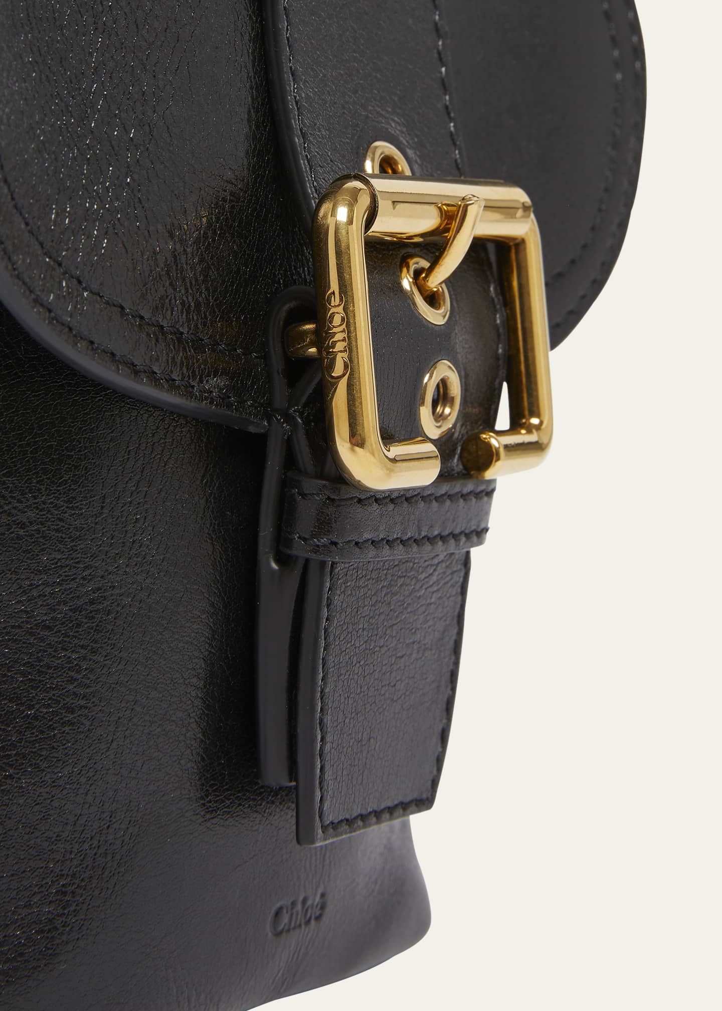 Chloe Camera Crossbody Bag in Natural Shiny Buffalo Leather Image 6 of 6