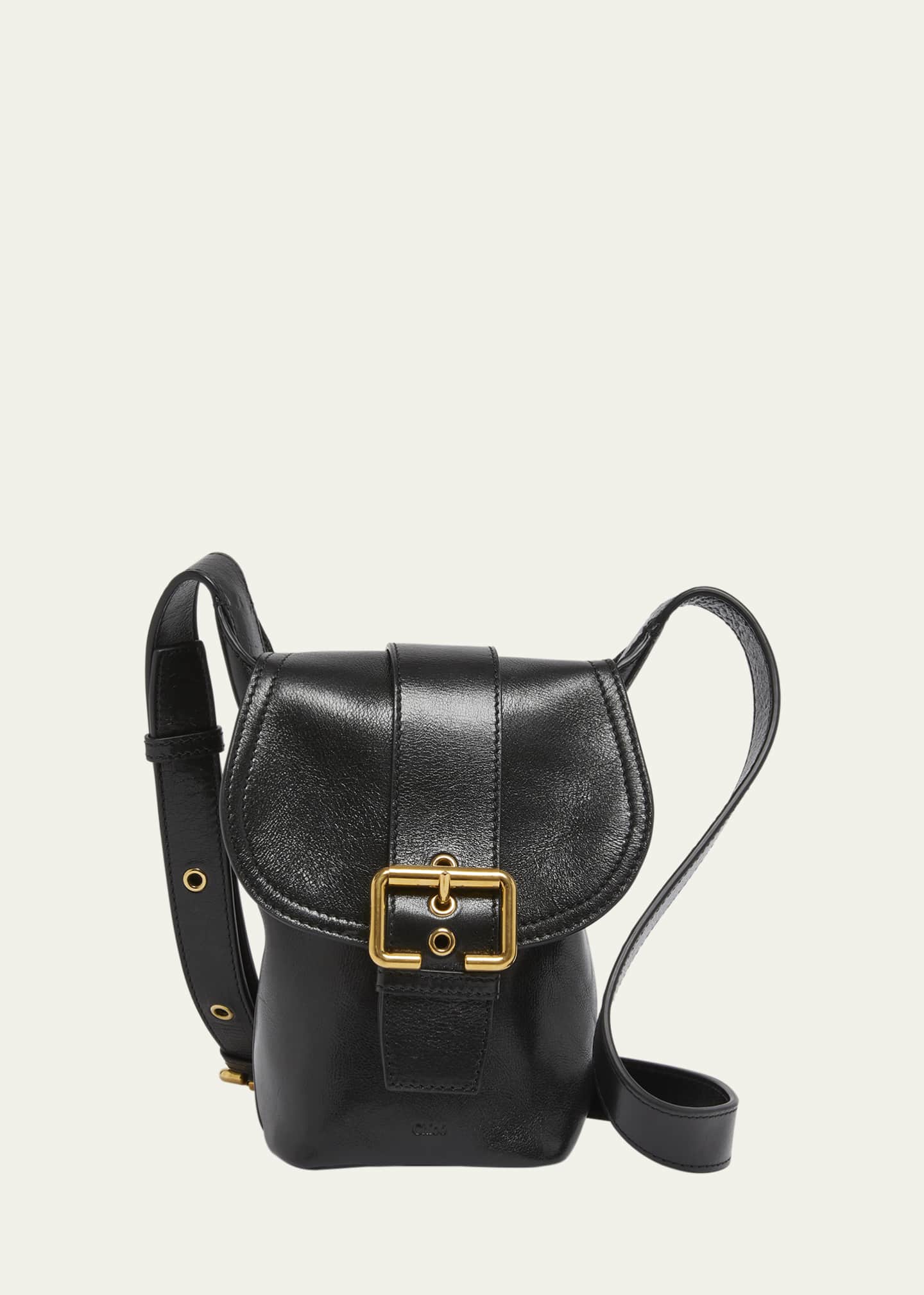 Chloe Camera Crossbody Bag in Natural Shiny Buffalo Leather Image 1 of 6