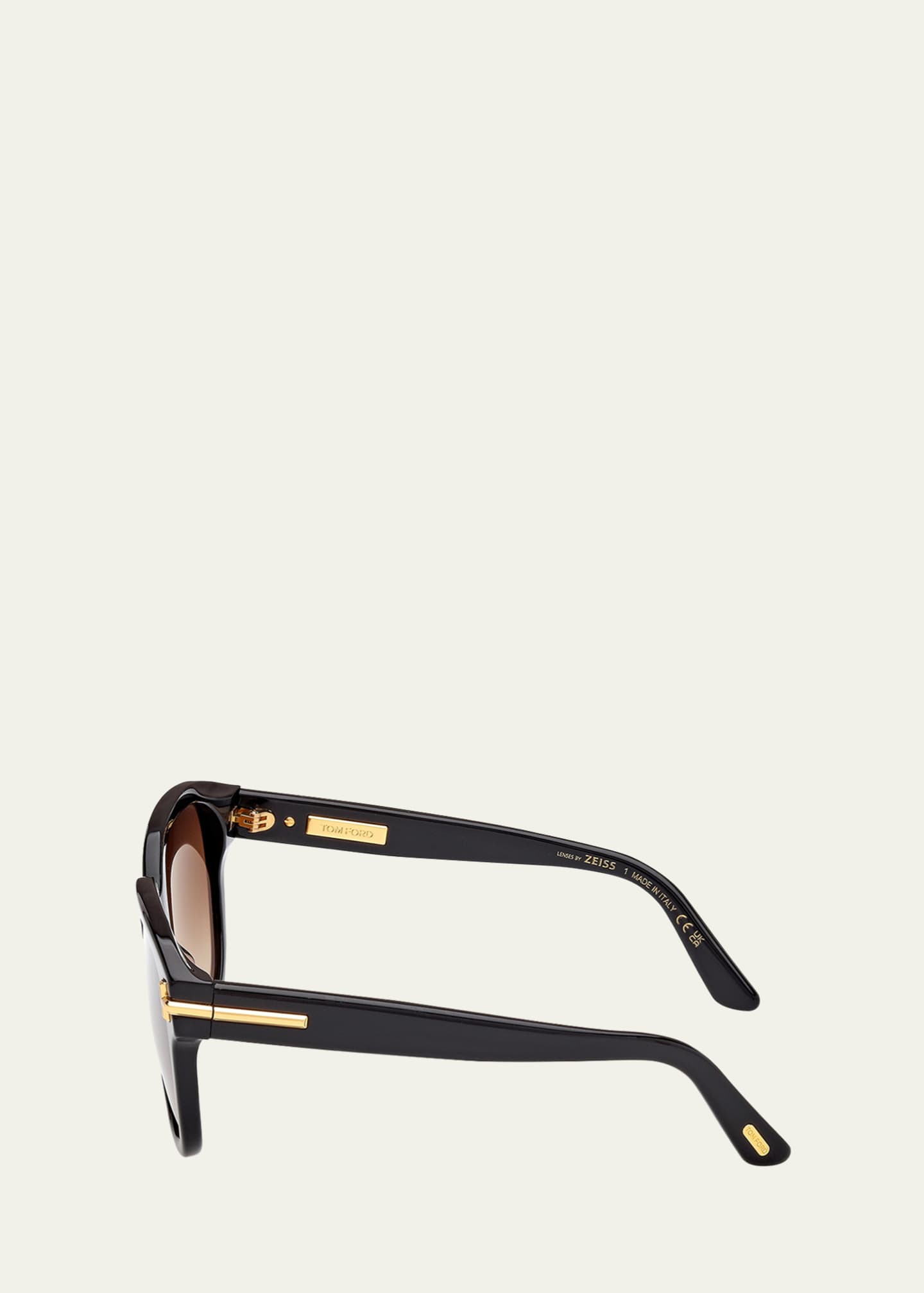 TOM FORD Icon Collection Sunglasses Image 3 of 4
