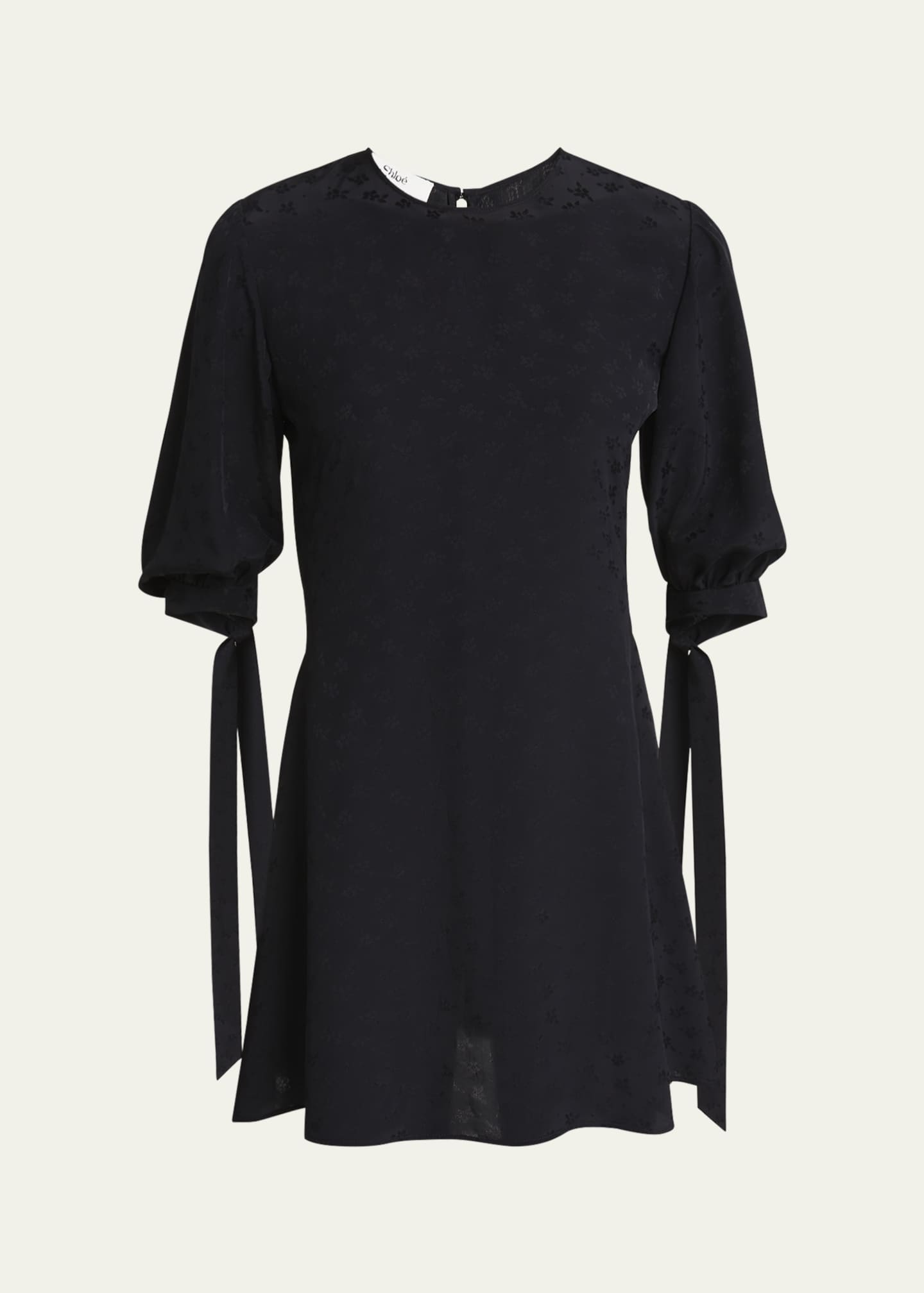 Chloe Floral Flocked Tie-Cuff Mini Dress Image 1 of 5