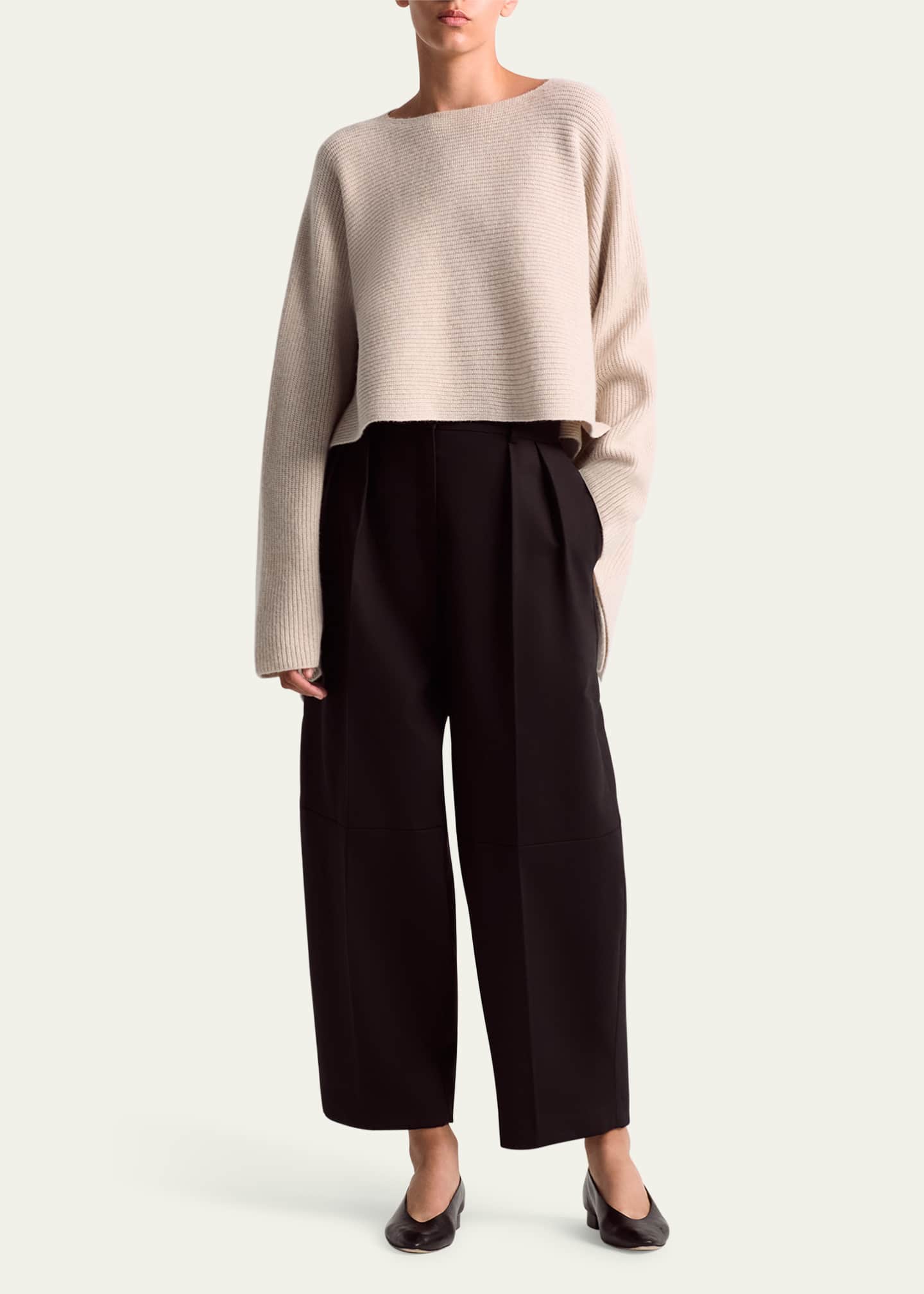Altuzarra Dash Pleated Wool Pants Image 2 of 4