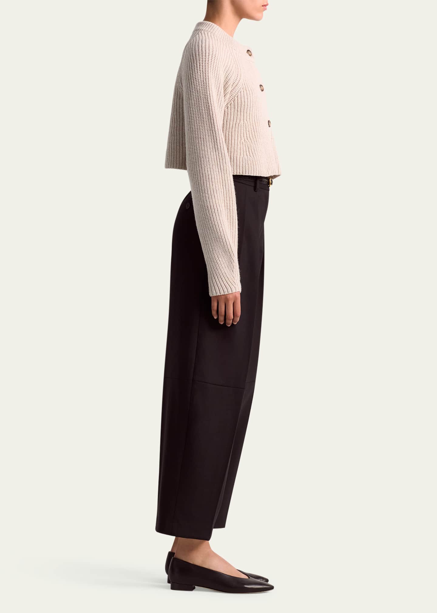 Altuzarra Dash Pleated Wool Pants Image 4 of 4