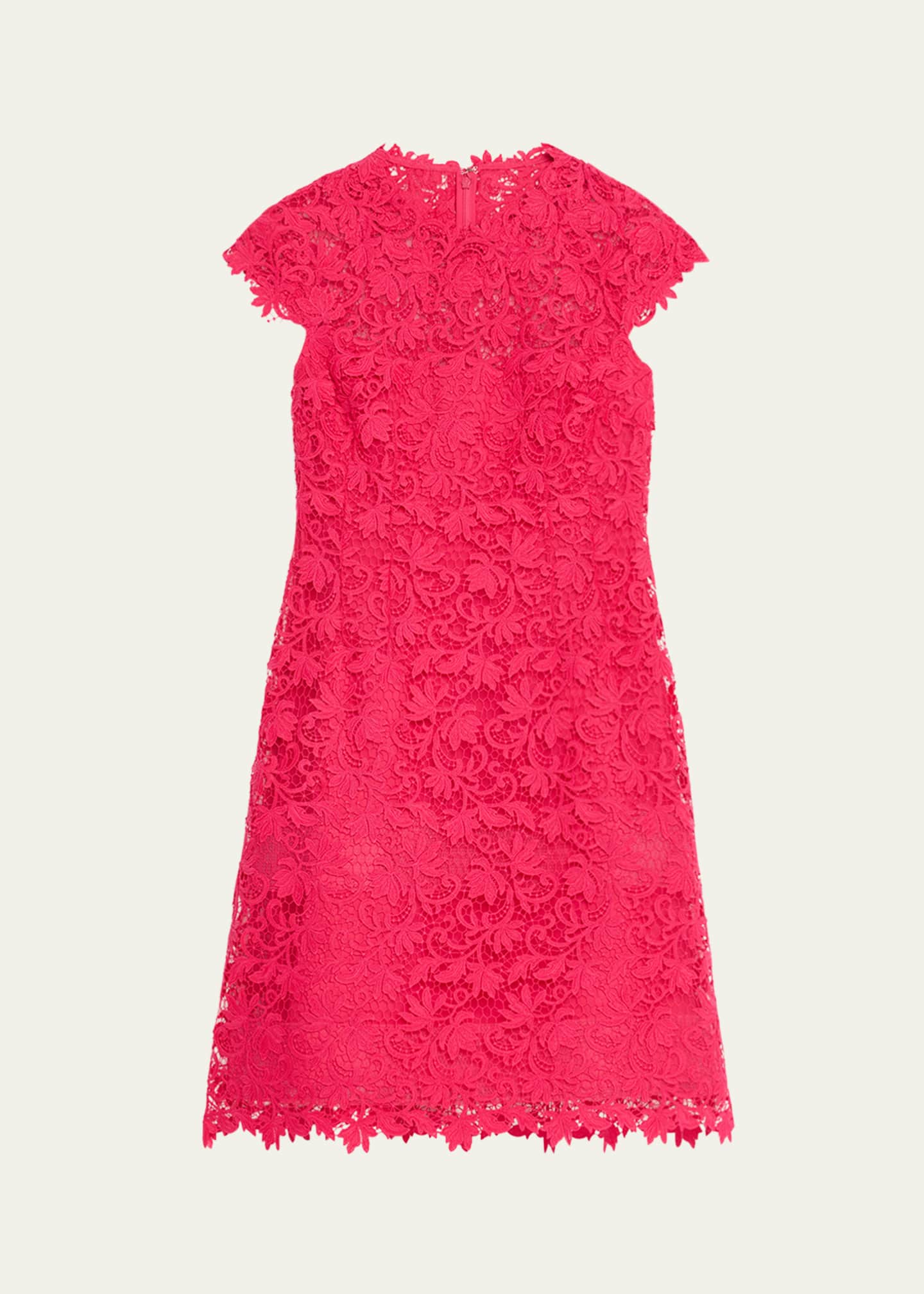 Rickie Freeman for Teri Jon Cap-Sleeve Floral Lace Dress Image 1 of 5