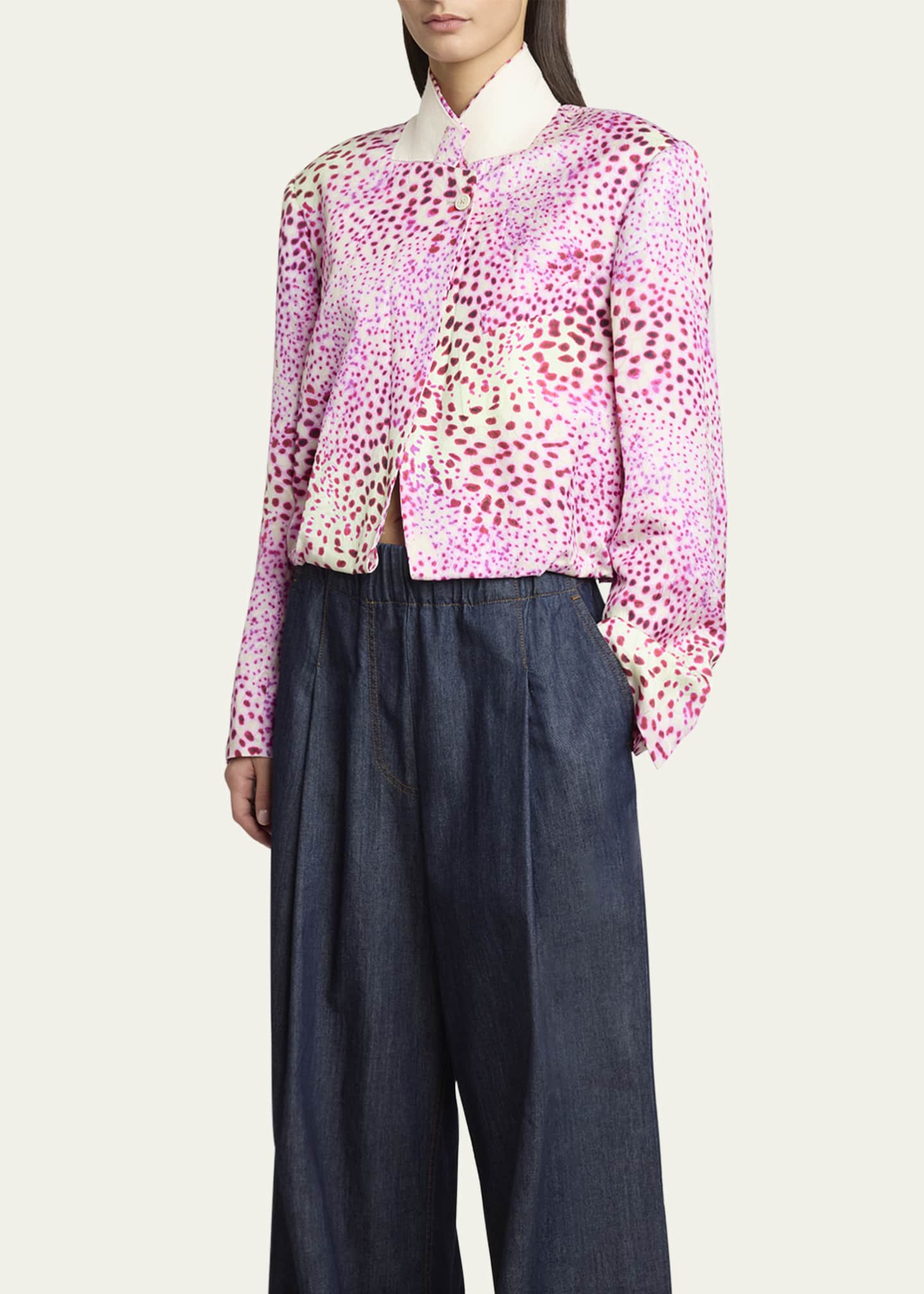 Dries Van Noten Vasti Printed Stand Collar Jacket Image 3 of 4