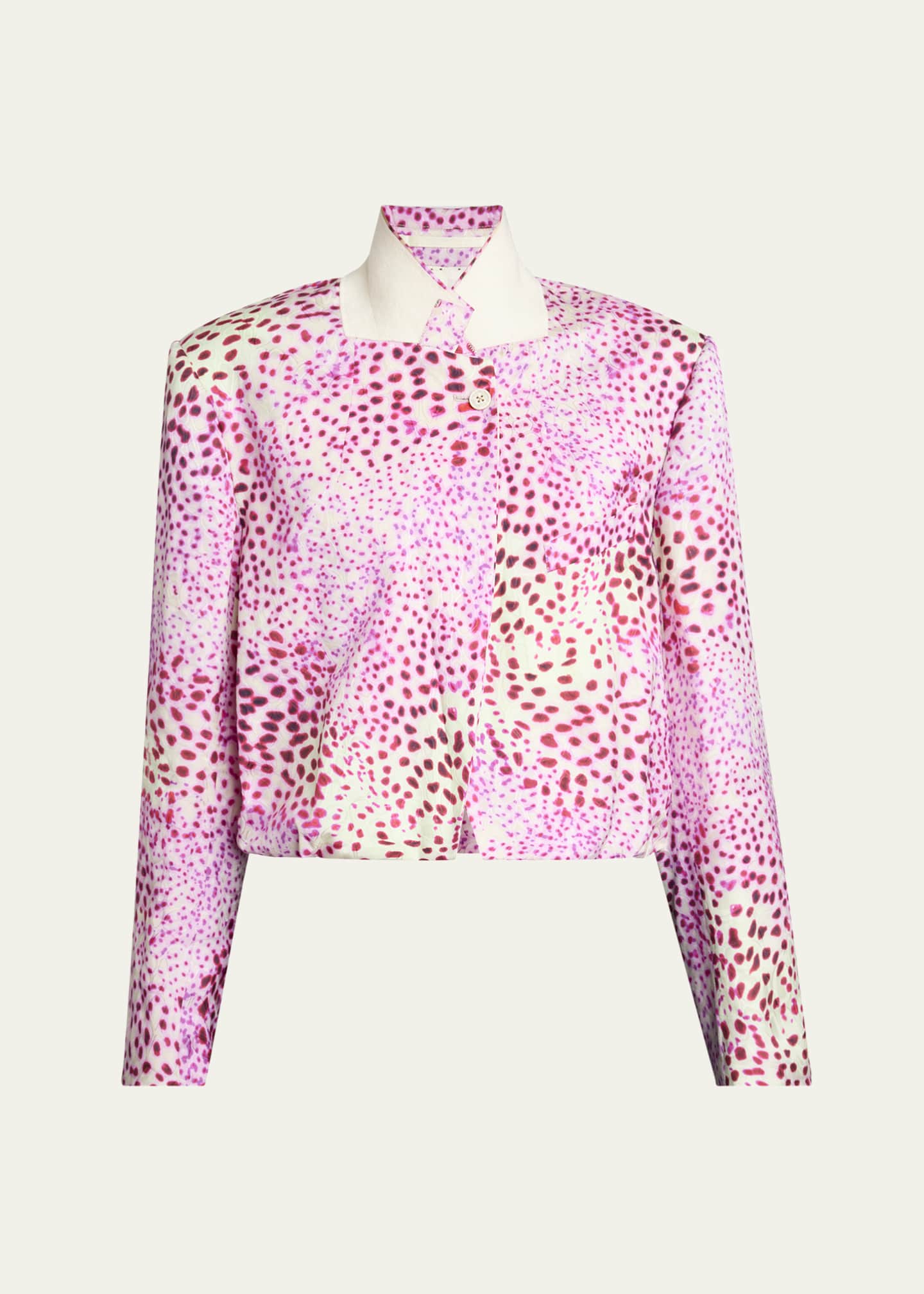 Dries Van Noten Vasti Printed Stand Collar Jacket Image 1 of 4