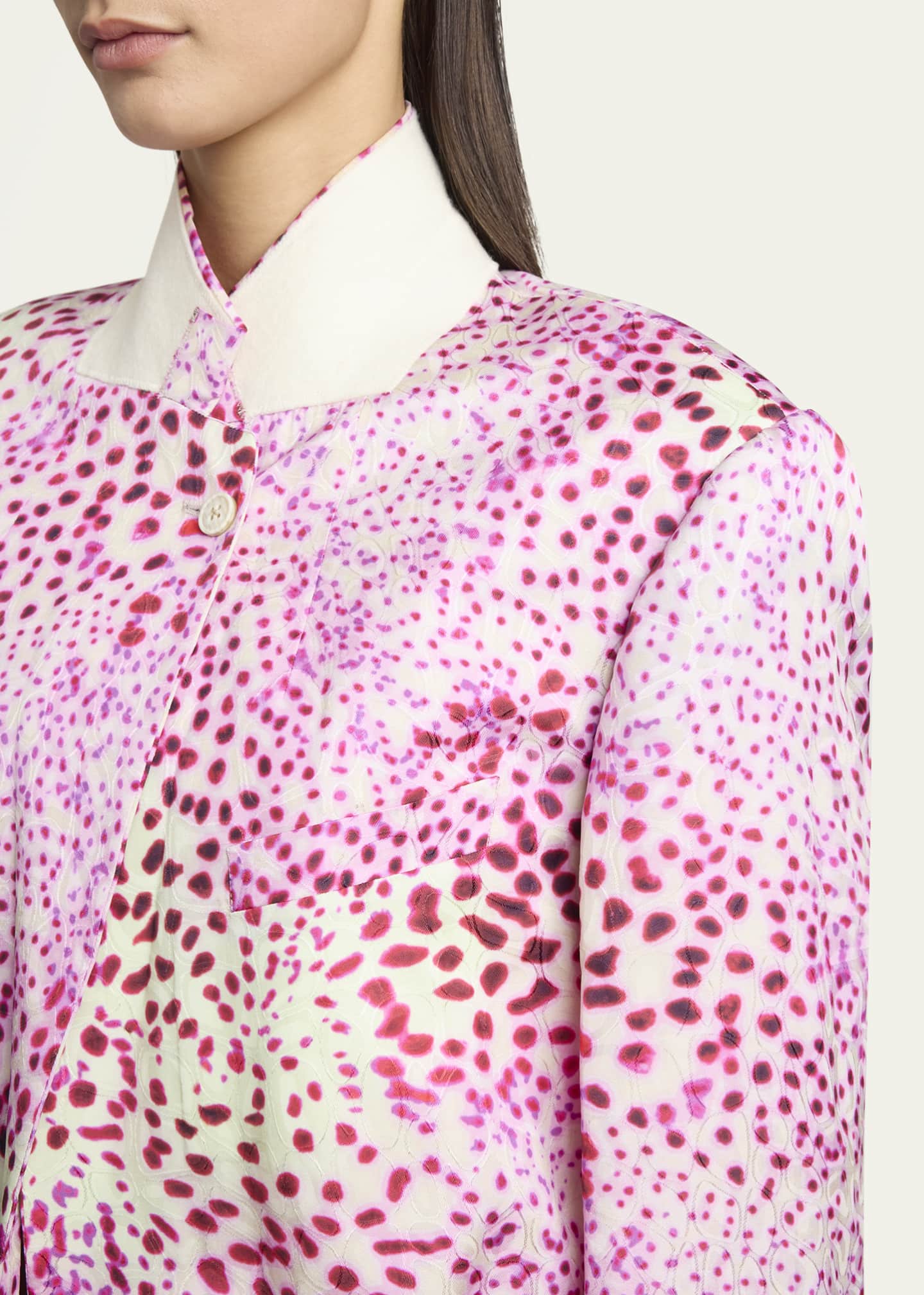 Dries Van Noten Vasti Printed Stand Collar Jacket Image 4 of 4