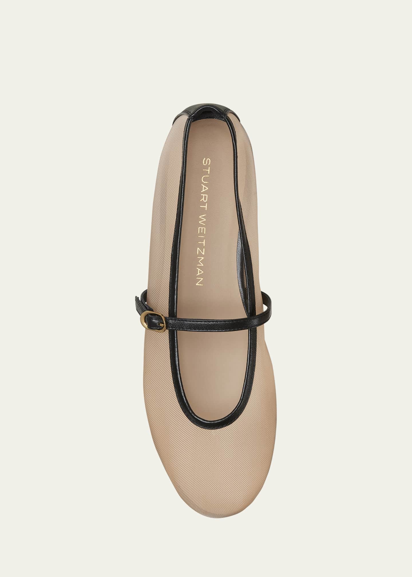 Stuart Weitzman Bareitall Mesh Leather Mary Jane Flats Image 4 of 4