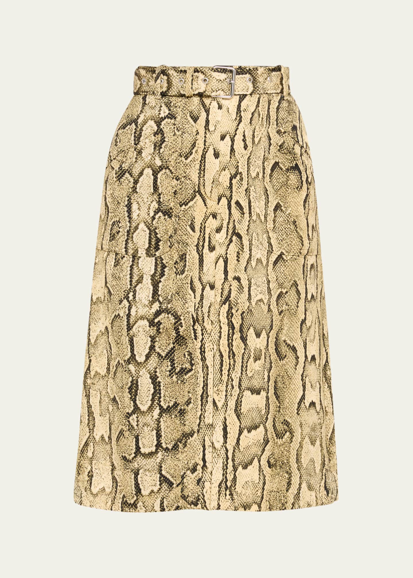 Dries Van Noten Sheraz Printed Midi Skirt Image 1 of 5