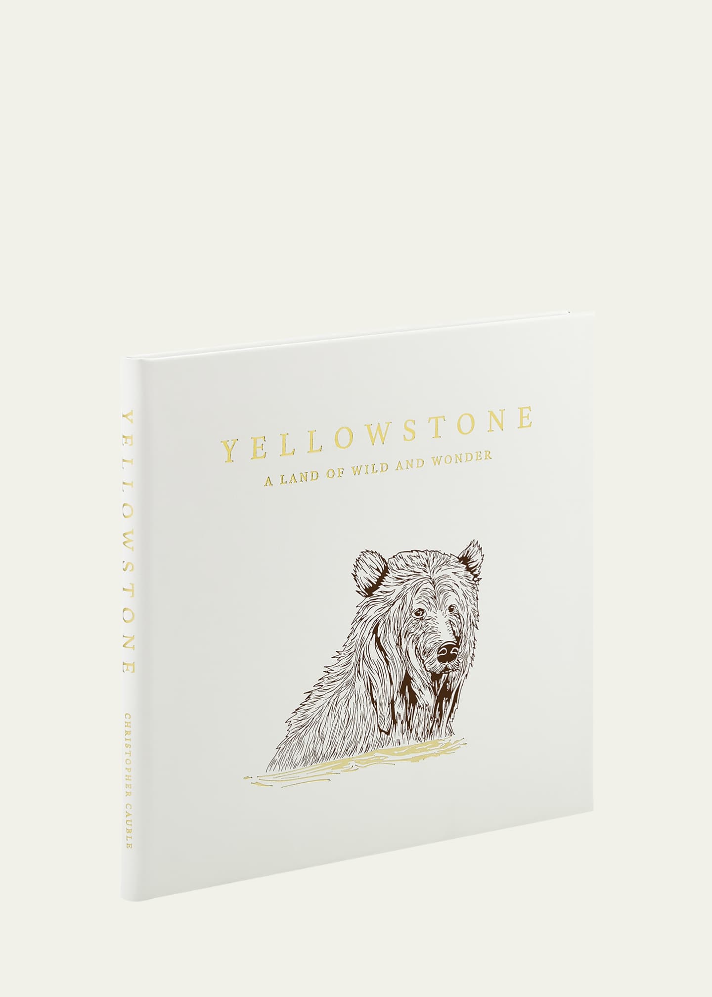 Graphic Image "Yellowstone: A Land of Wild and Wonder" Leather-Bound Book by Christopher Cauble Image 2 of 6