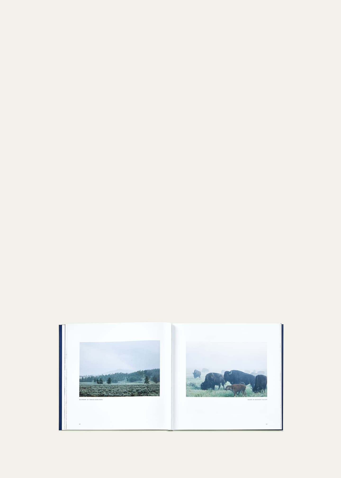 Graphic Image "Yellowstone: A Land of Wild and Wonder" Leather-Bound Book by Christopher Cauble Image 4 of 6