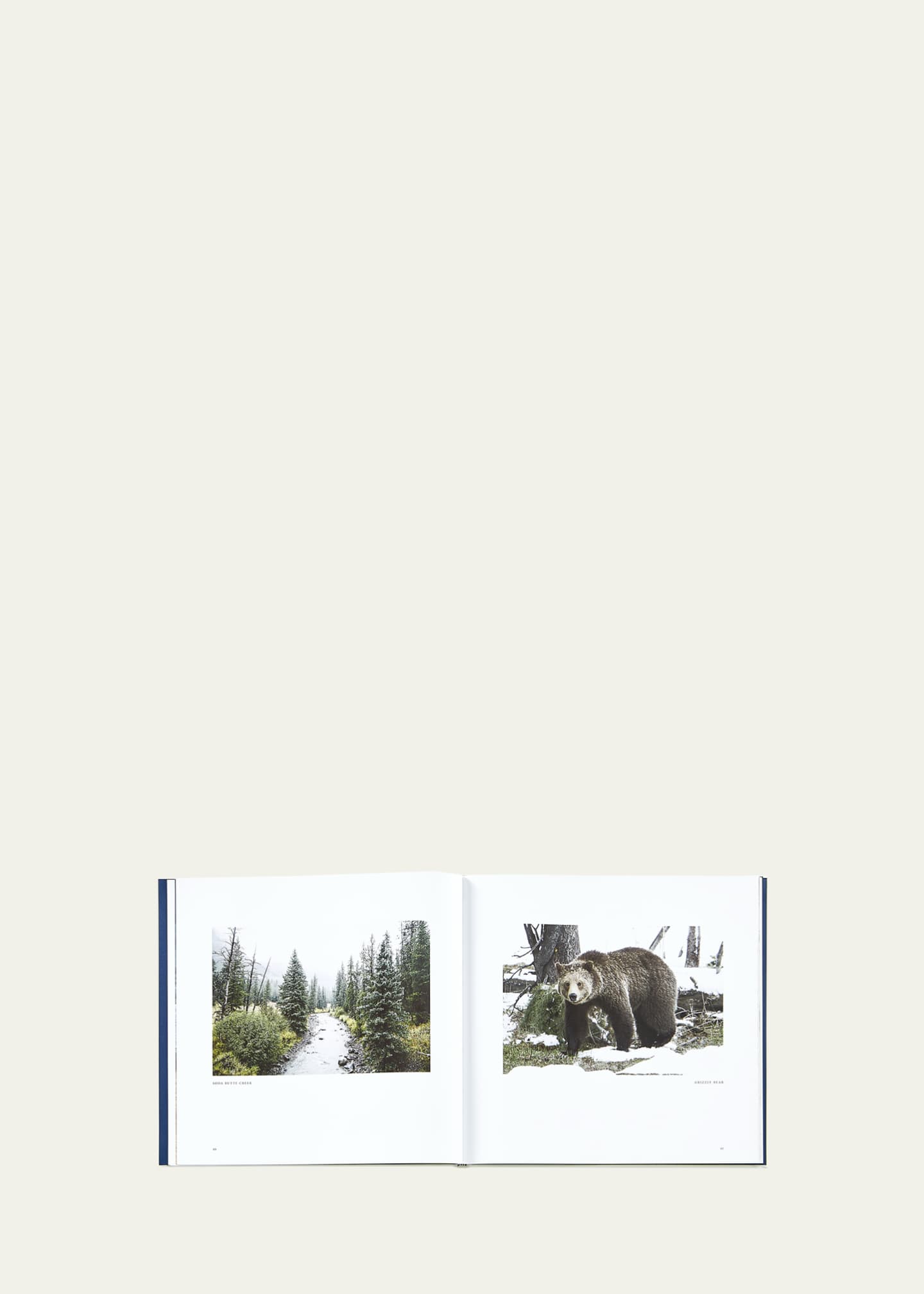 Graphic Image "Yellowstone: A Land of Wild and Wonder" Leather-Bound Book by Christopher Cauble Image 6 of 6