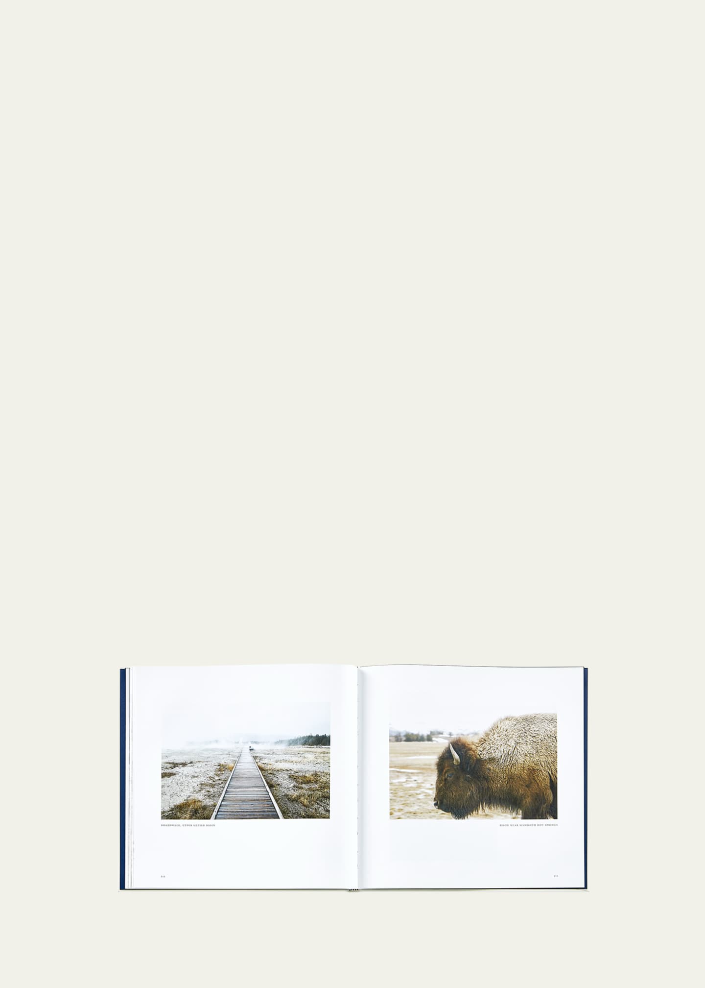Graphic Image "Yellowstone: A Land of Wild and Wonder" Leather-Bound Book by Christopher Cauble Image 5 of 6