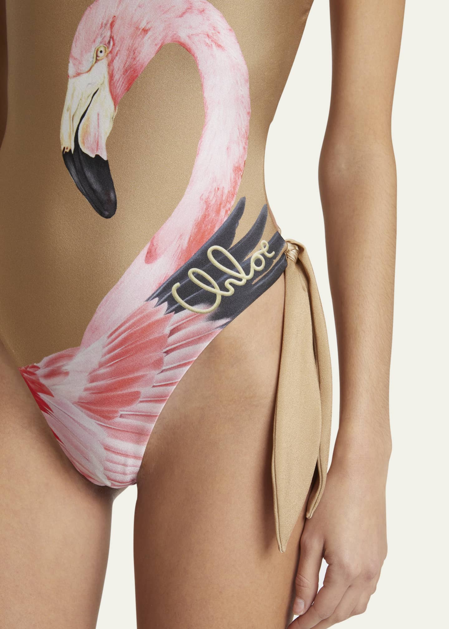Chloe Flamingo Print Cutout One-Piece Swimsuit Image 4 of 4