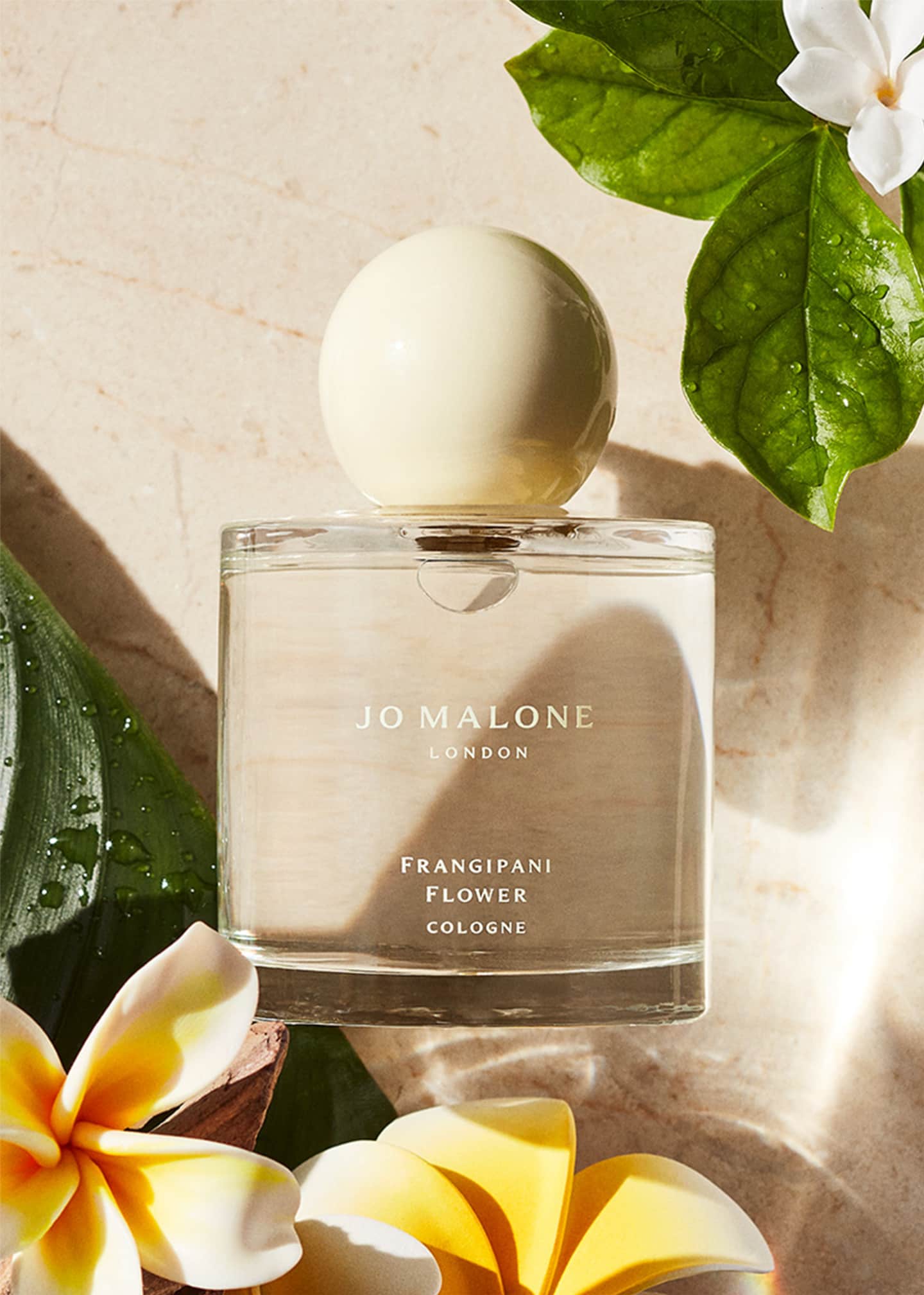 Jo Malone London Frangipani Flower Cologne, 1 oz. Image 2 of 2