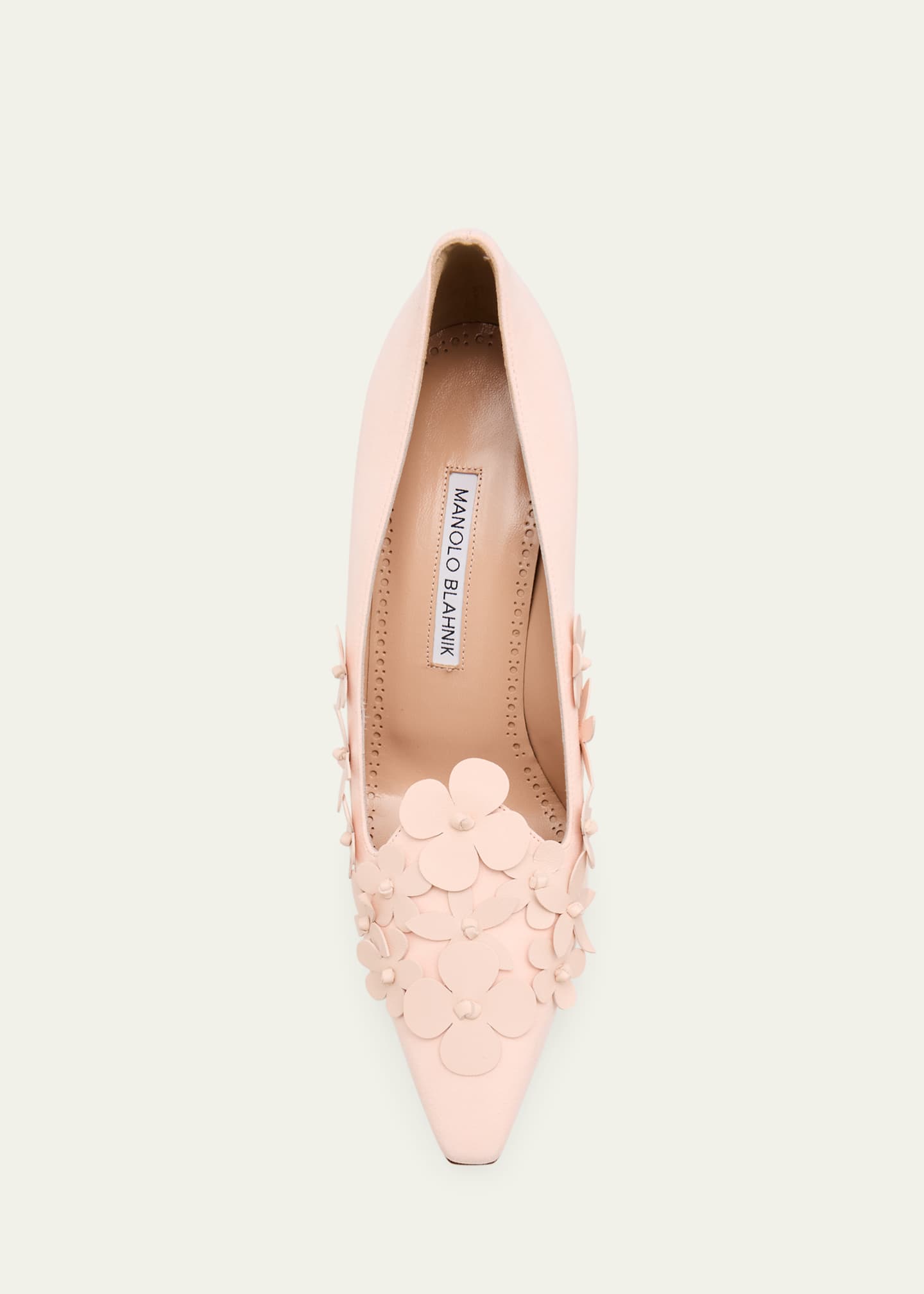 Manolo Blahnik Harneclo Suede Pointed-Toe Pumps Image 4 of 4