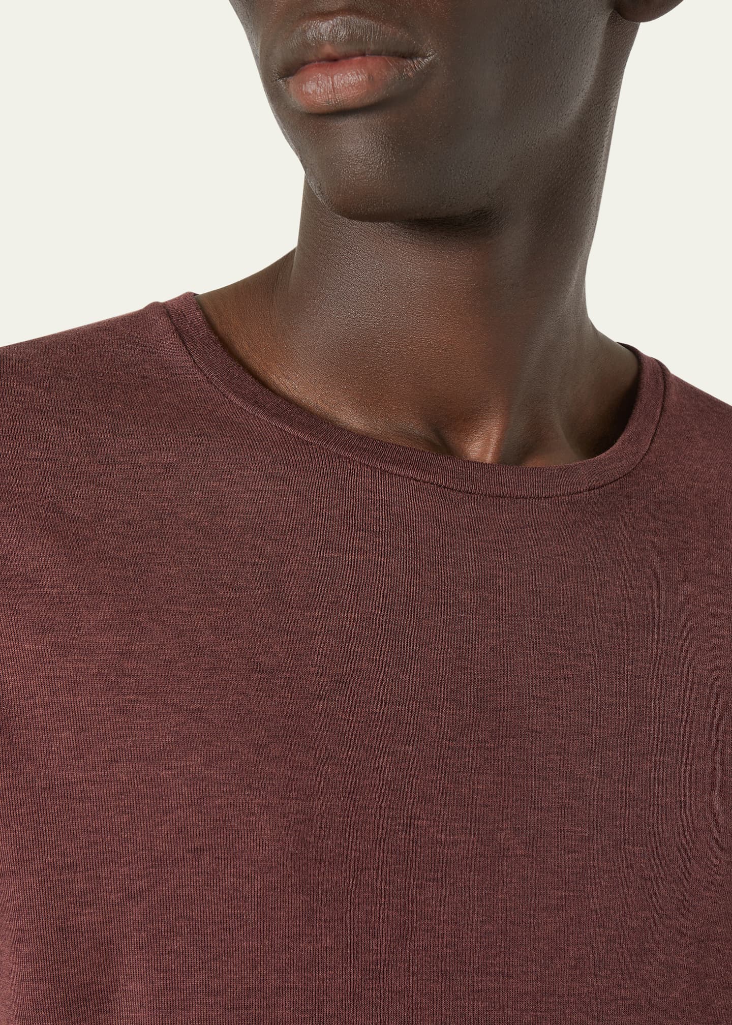 Loro Piana Men's Mazzorbo Silk and Cotton Crewneck T-Shirt Image 5 of 5