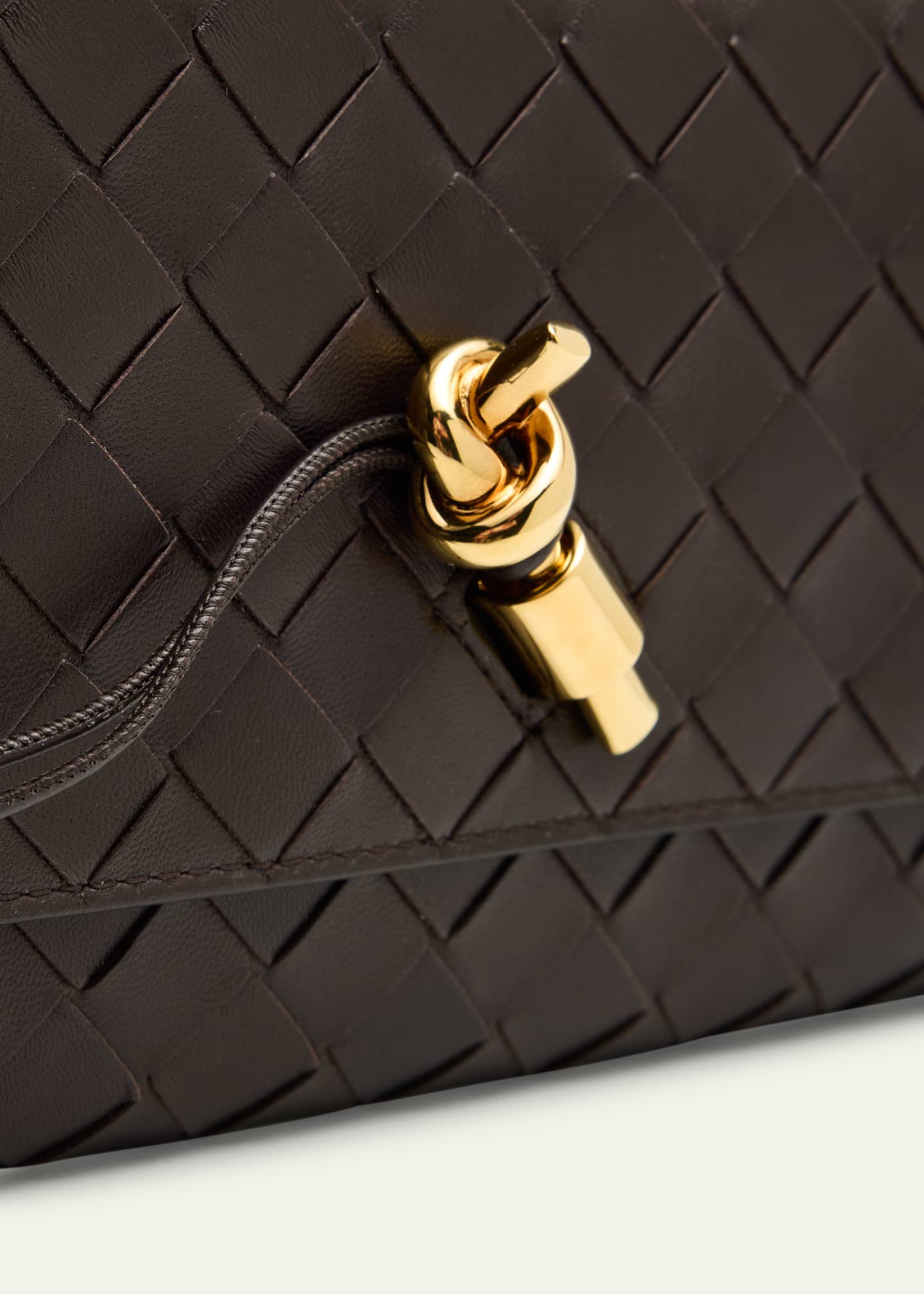 Bottega Veneta Andiamo Metallic Leather Pouch Bag Image 6 of 6