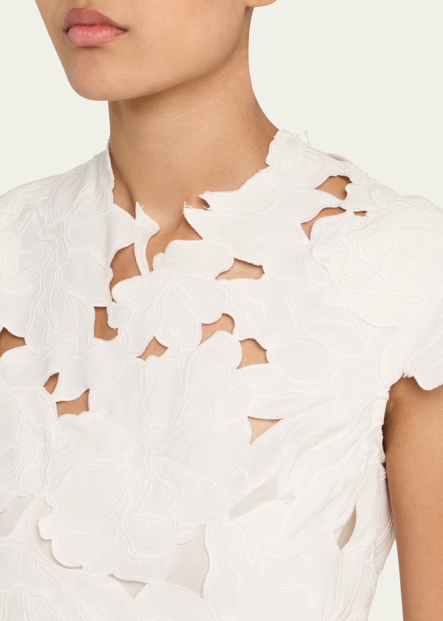 Holloway Embroidered Mini Dress