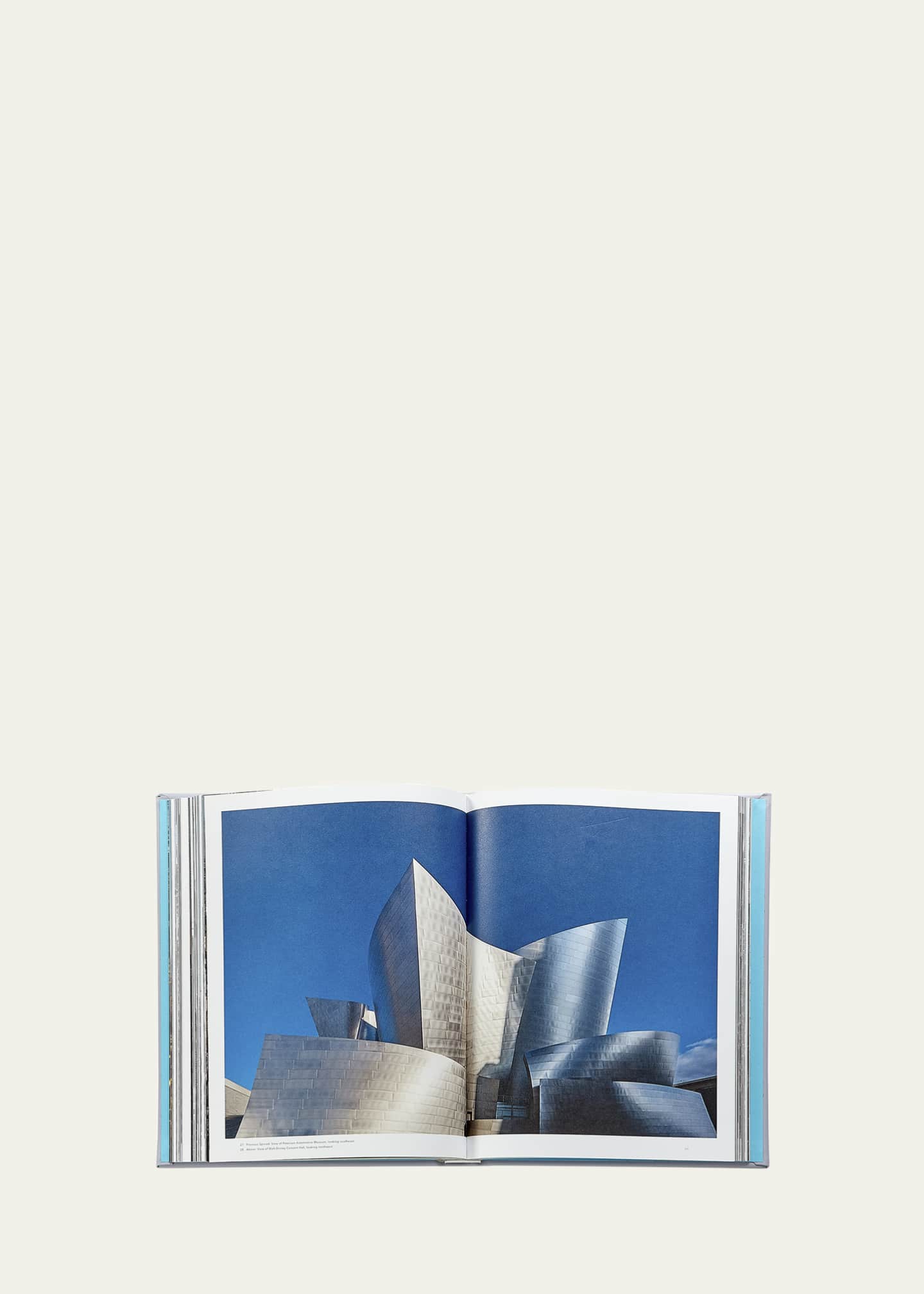 Graphic Image "Trope Los Angeles" Leather-Bound Book, Edited by Sam Landers & Michelle Fitzgerald Image 5 of 6