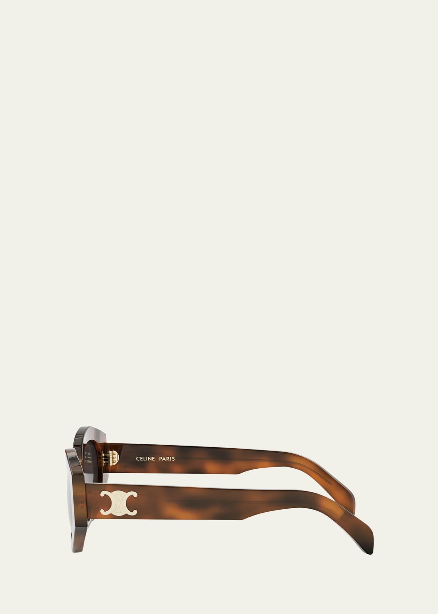 Celine Triomphe Acetate Oval Sunglasses Image 3 of 3