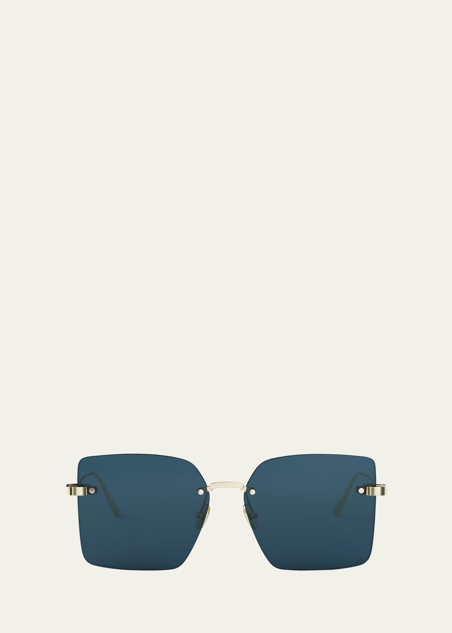 DIOR CDior S3U Metal Square Sunglasses - Bergdorf Goodman