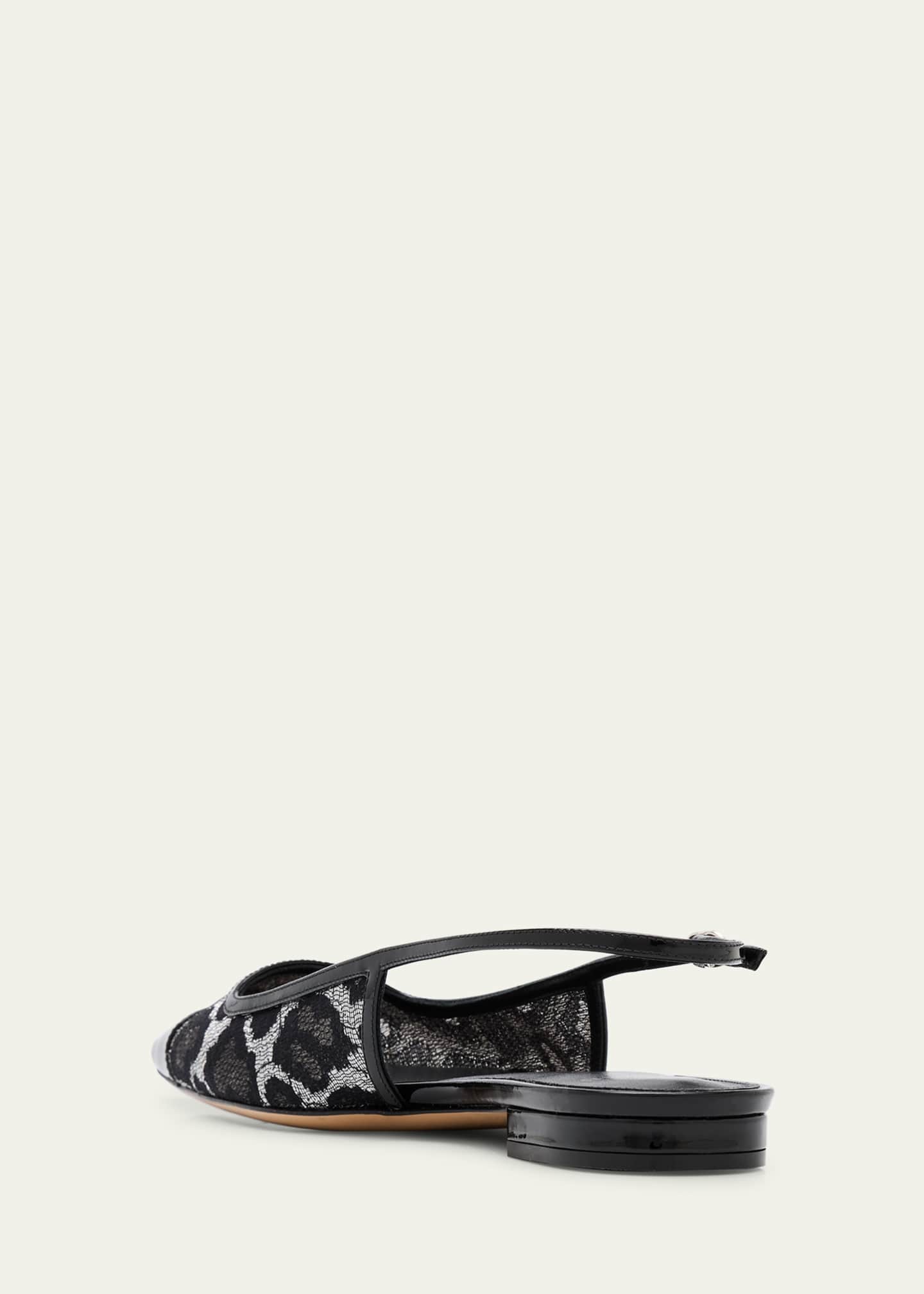Alexandre Birman Oliva Lace Ballerina Flats Image 2 of 4