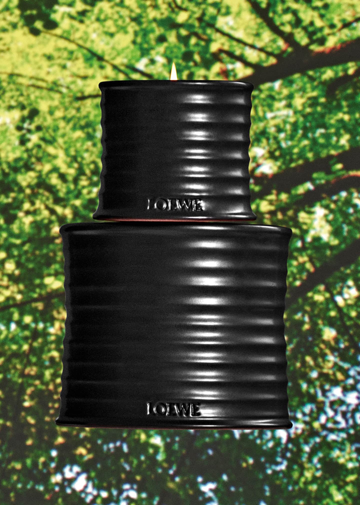 Loewe Medium Palo Santo Candle, 20.7 oz. - Bergdorf Goodman