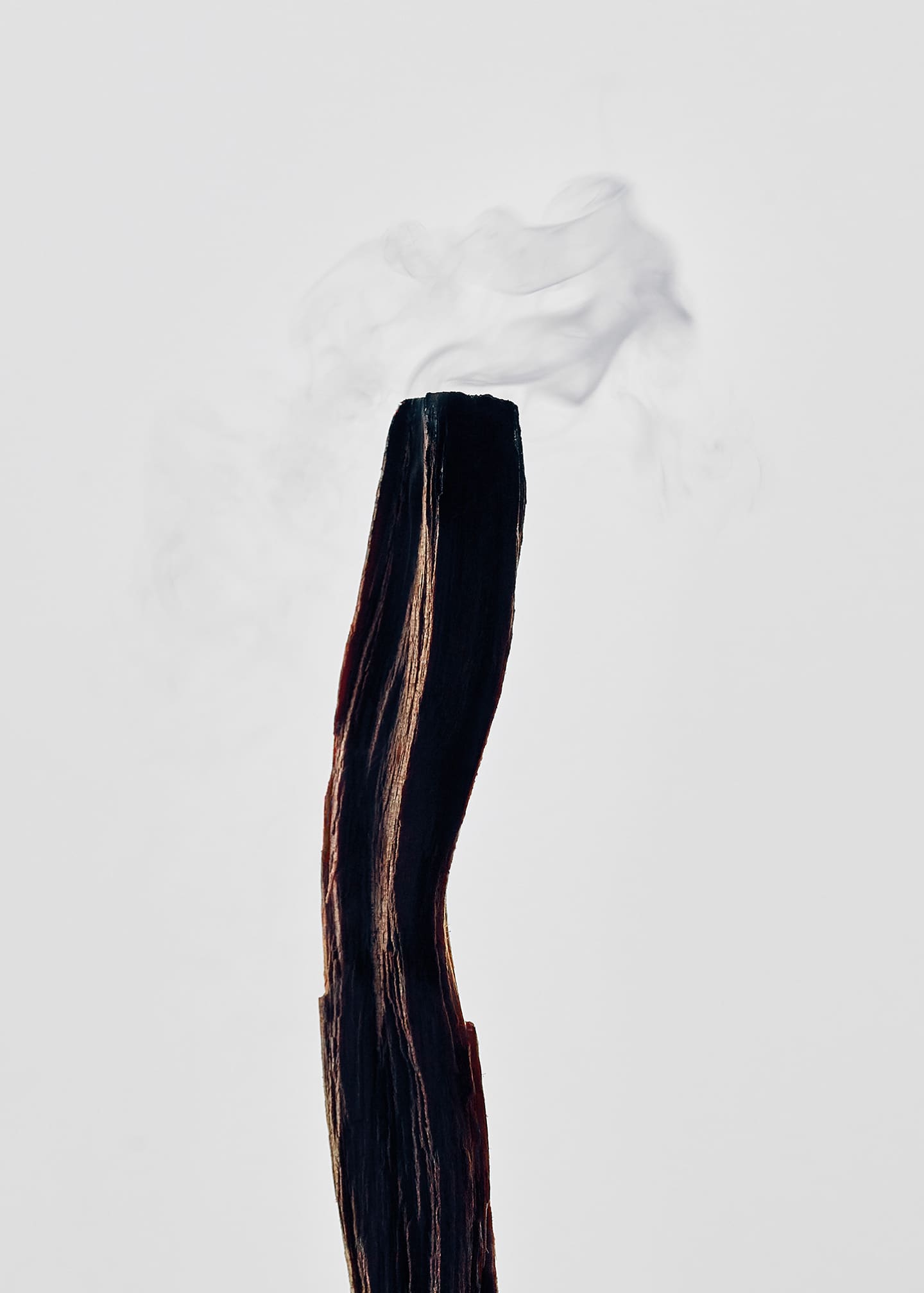 Loewe Small Palo Santo Candle, 5.8 oz. - Bergdorf Goodman