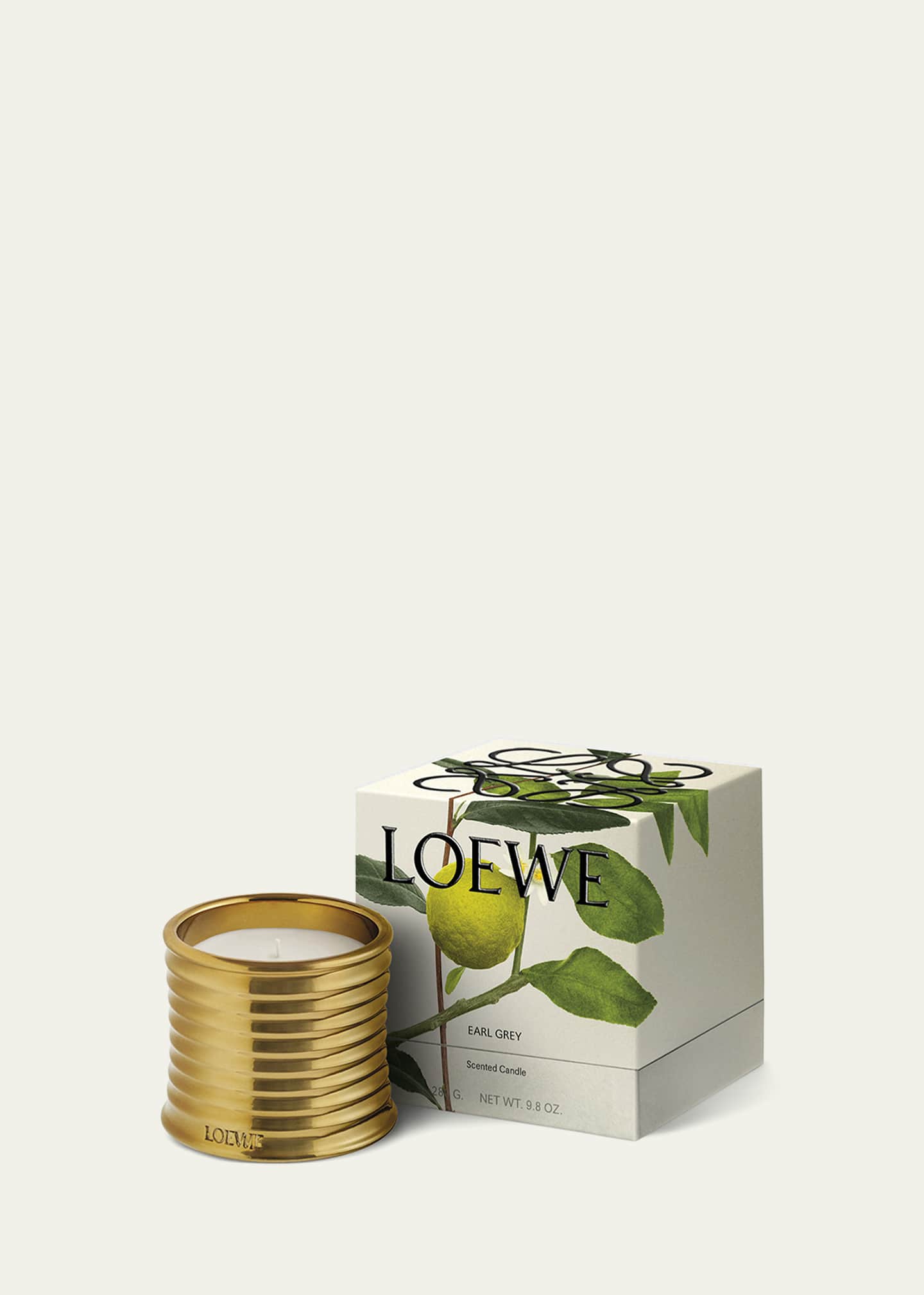 Loewe LOEWE Earl Grey Midi Scented Candle - Bergdorf Goodman